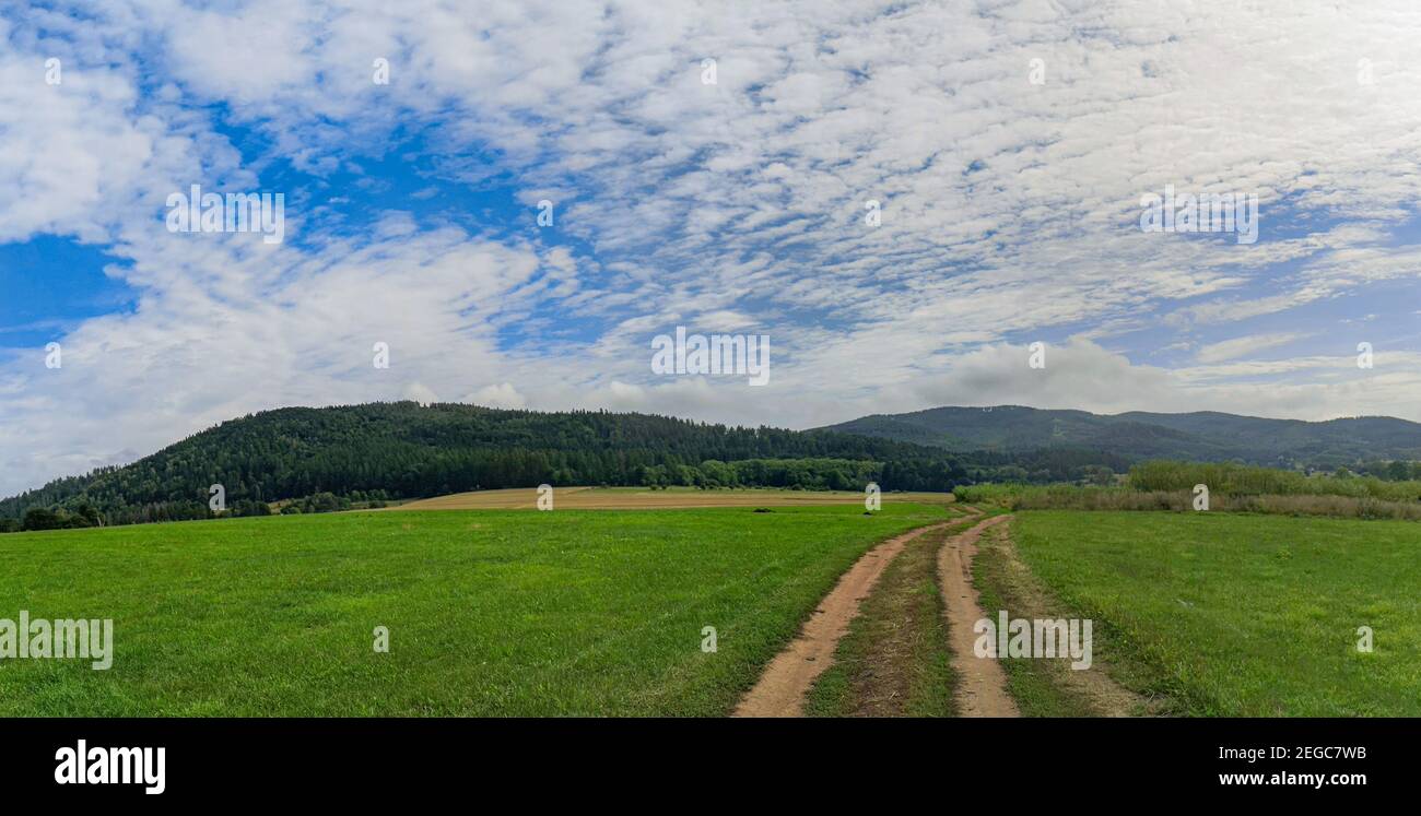 Panoramablick auf die Berge mit langem Doppelweg zwischen Grün Und gelbe Felder Stockfoto