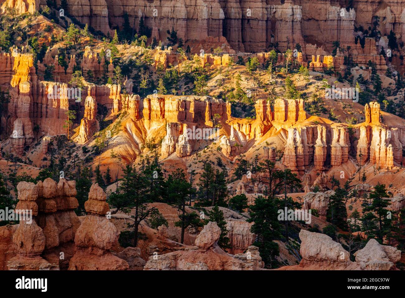 Bryce Canyon National Park, Hoodoos orange Felsformationen. Utah, USA Stockfoto