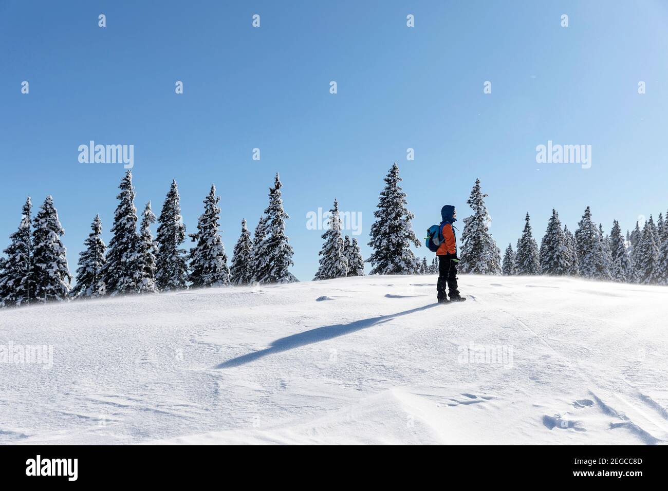 Junge steht auf einem schneebedeckten Hügel Stockfoto