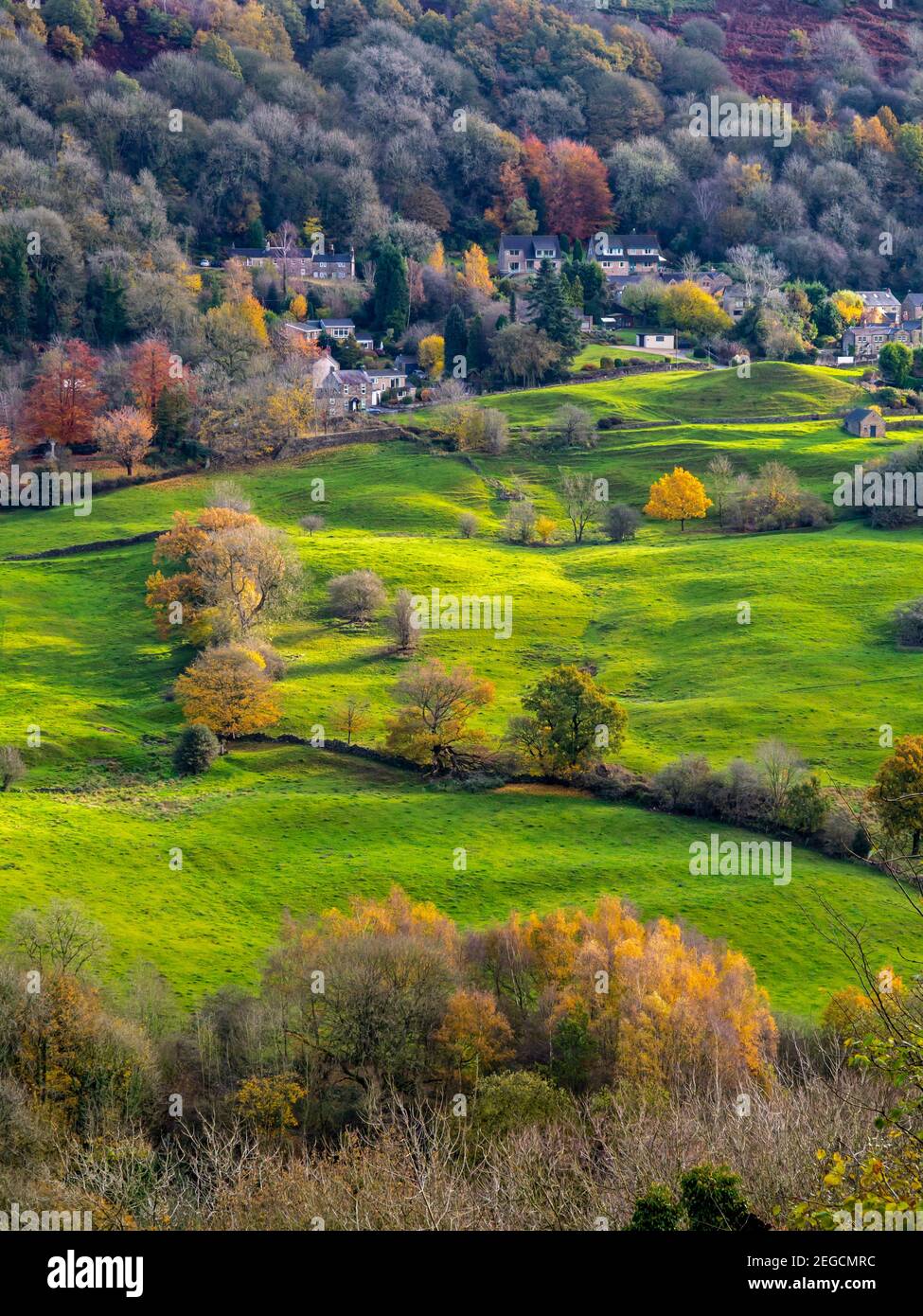 Blick über Felder in Richtung Starkholmes Dorf von Matlock Bath im Derbyshire Dales Peak District England mit Bäumen in Herbstfarben. Stockfoto