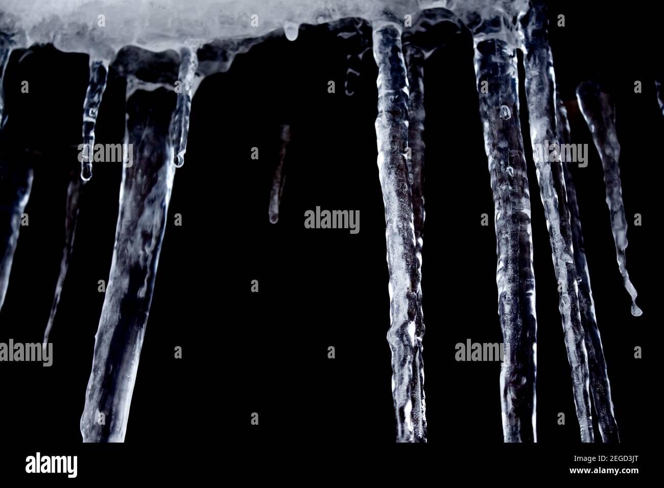 Scharfe und gefährliche Eiszapfen auf schwarzem Hintergrund isoliert. Kaltes Wetter. Winterkonzept. Stockfoto