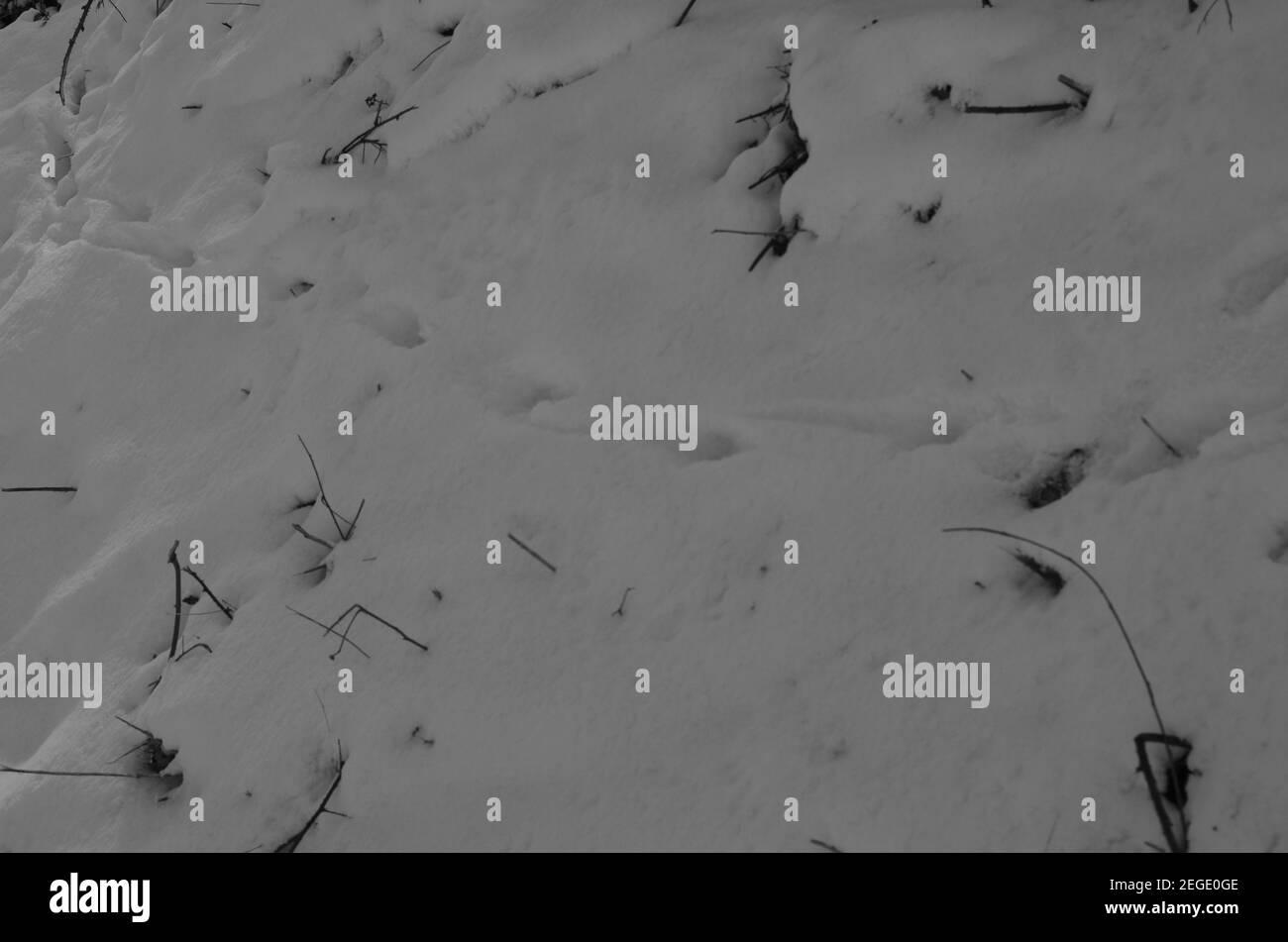 Herz Schnee : Bilder des Winters (con una 'mirada distinta ' a la nieve posada en objetos y los rastros y huellas, y diferentes formaciones de hielo ) Stockfoto