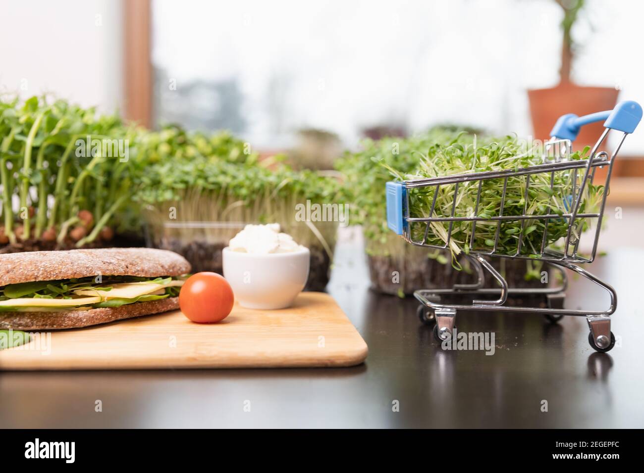 Gesundes Essen online Bestellkonzept. Microgreens, Getreidebrot und Warenkorb voll von geschnittenen Sprossen Superfood. Stockfoto