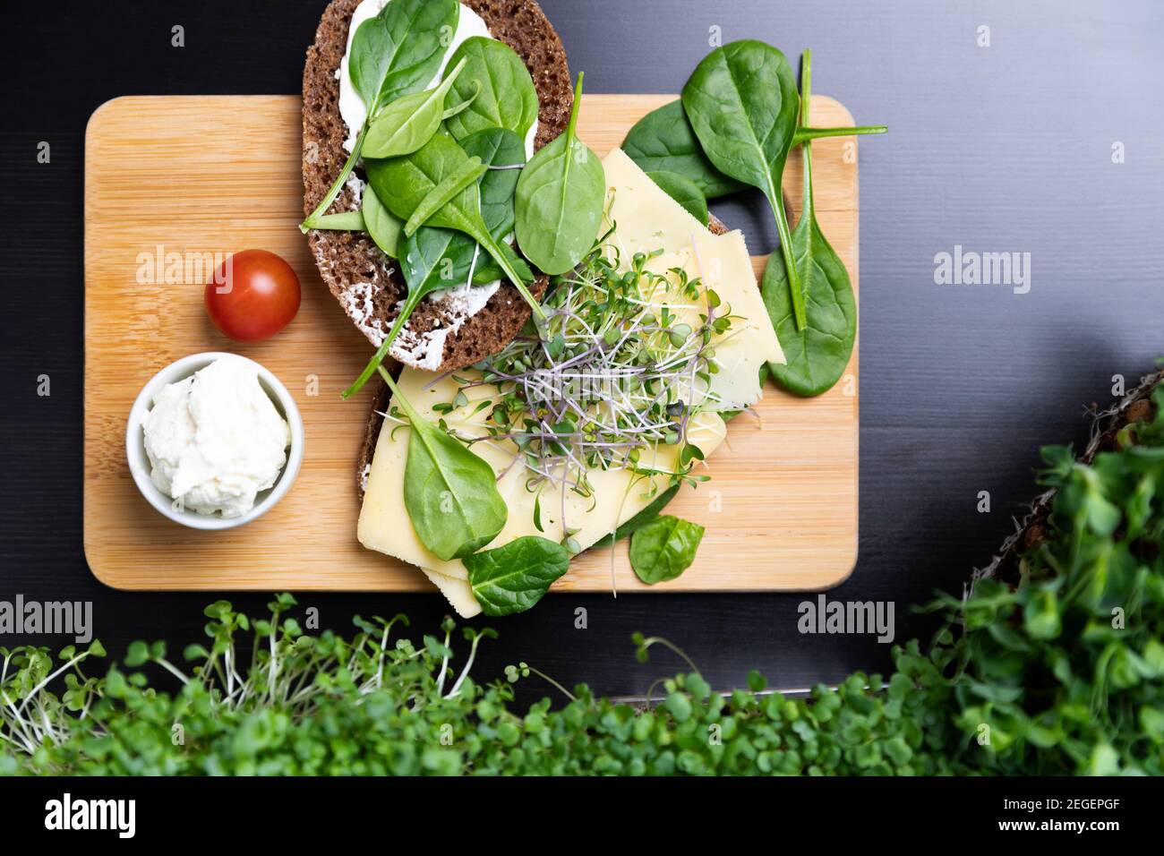 Bio roh Microgreens - Draufsicht auf Getreidebrot, Sprossen. Superfood gesunde Ernährung Konzept. Stockfoto