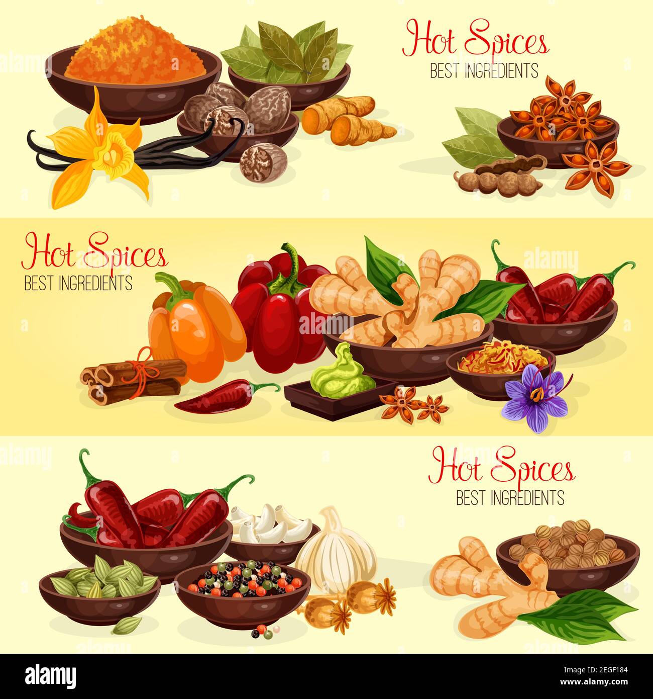 Hot Spice Banner der natürlichen Lebensmittelzutat. Chili, Ingwer und Muskatnuss, Knoblauch, Zimt und Vanille, Anisstern, Kardamom und Lorbeerblatt, Turmeri Stock Vektor