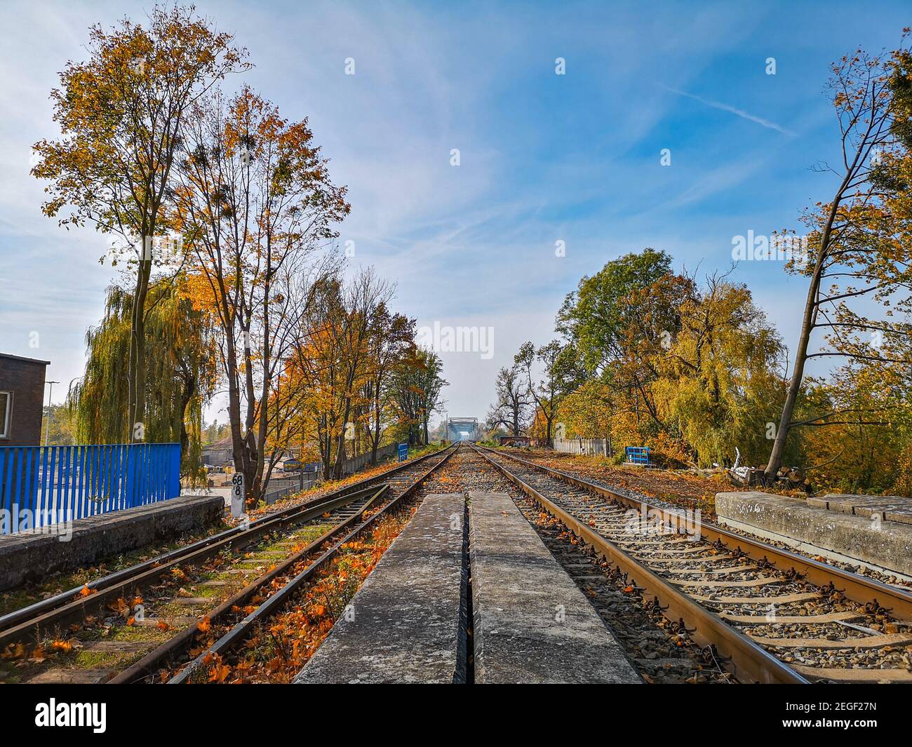 Eisenbahn auf Hügel am Viadukt zwischen Bäumen und Sträuchern Stockfoto