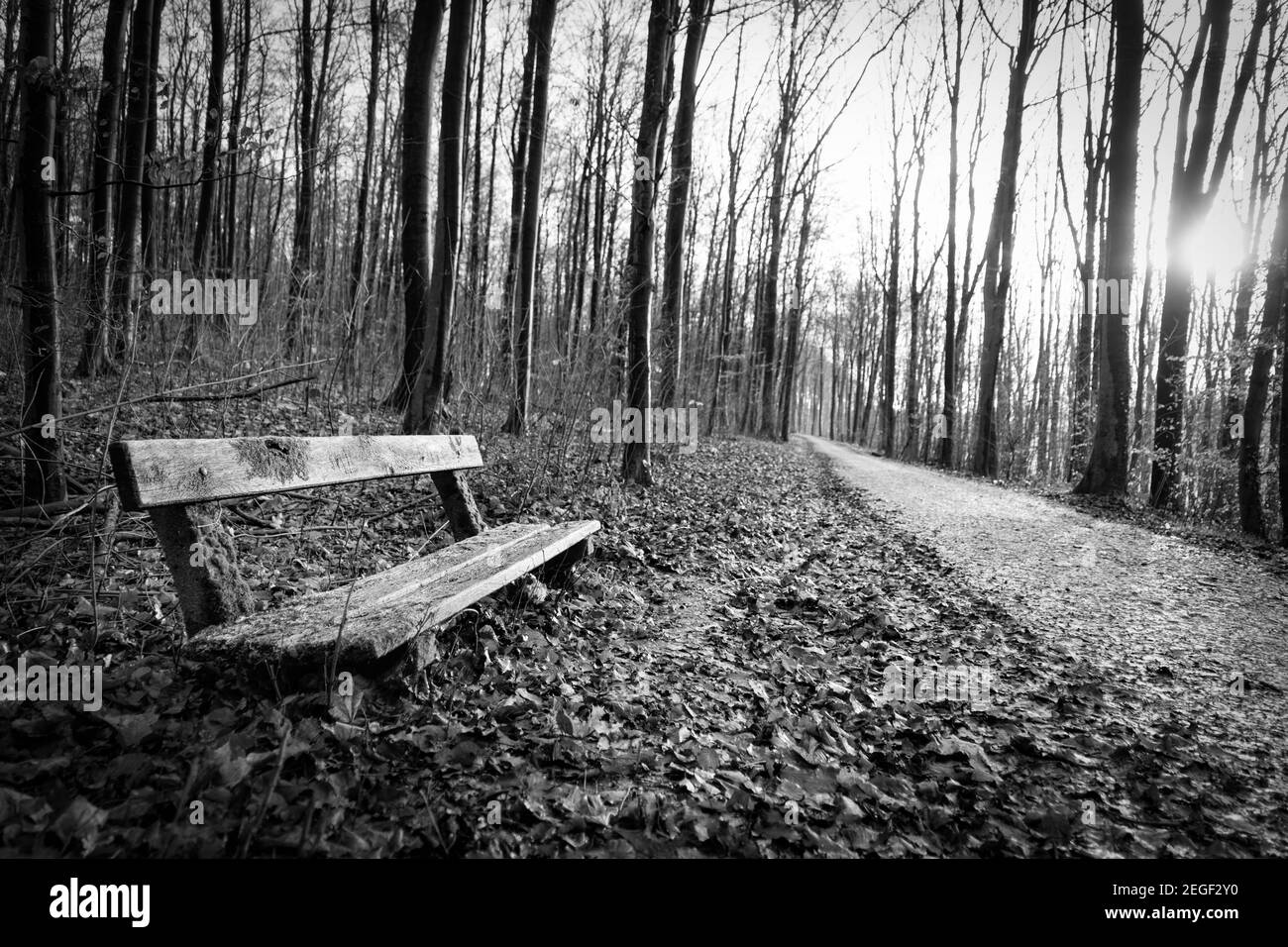 Herbstliche Landschaft bei Bielefeld Stockfoto