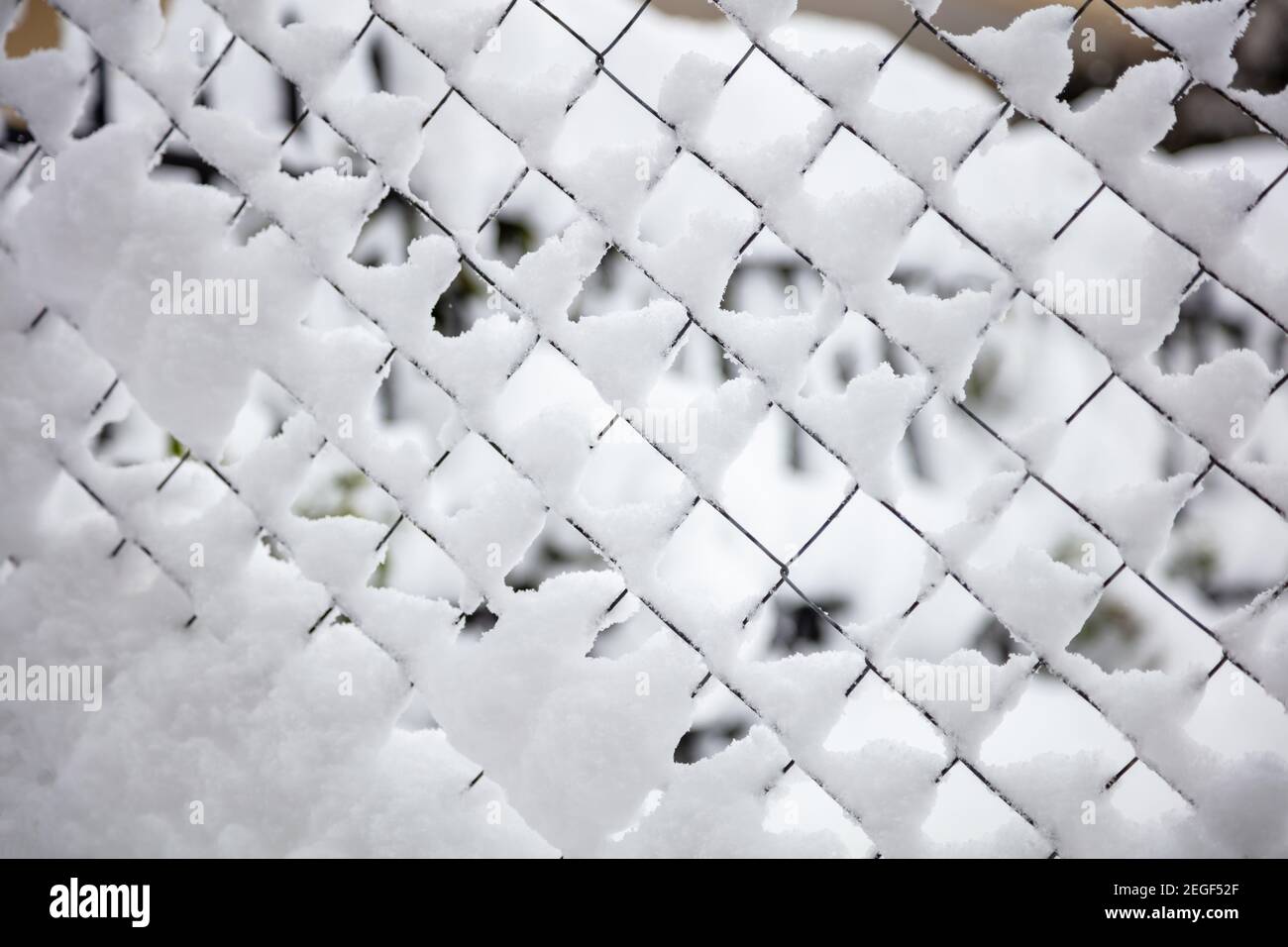 Drahtgeflecht mit Schnee bedeckt, Winter saisonal abstrakte Hintergrundtextur. Metallzaun im weißen Winterfrost. Sicherheits-, Datenschutz-Konzept Stockfoto
