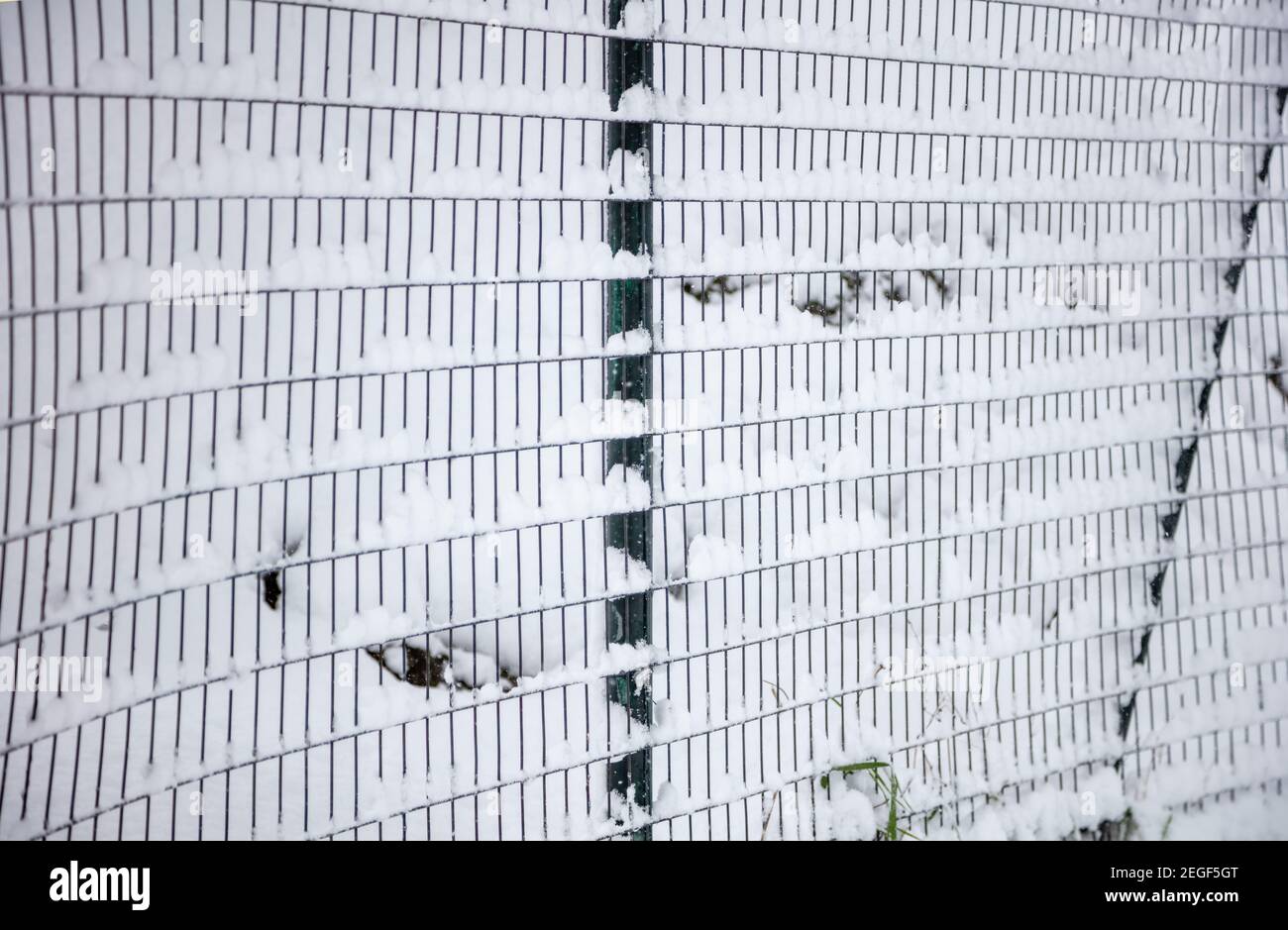 Metallzaun mit Schnee bedeckt, Winter saisonal abstrakt Hintergrund Textur. Drahtgeflecht im weißen Winterfrost. Sicherheits-, Datenschutz-Konzept Stockfoto