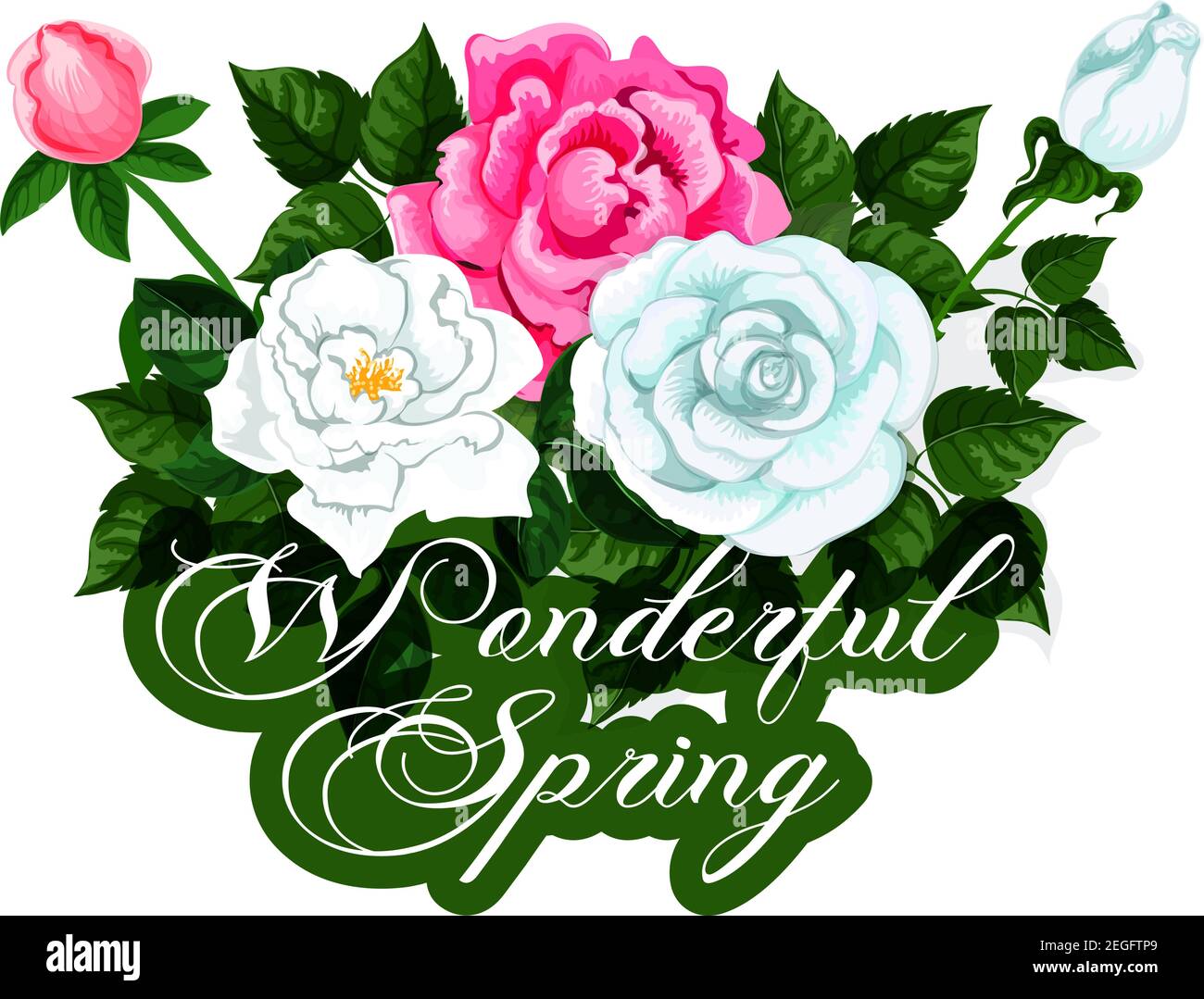 Frühlingsrosen Büschel Symbol für Frühling saisonalen Urlaub oder Grußkarte  Design. Vektor isoliert rot und weiß blühende Rose Bouquet von Frühling  floral Stock-Vektorgrafik - Alamy