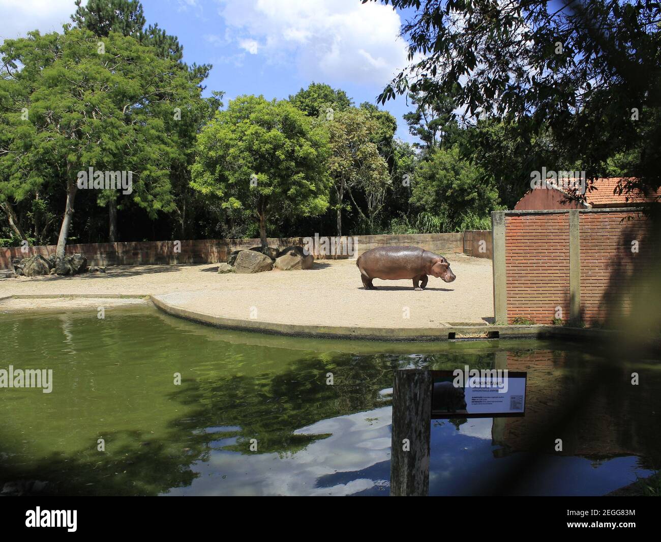 Curitiba, Parana, Brasilien. Februar 2021, 18th. CURITIBA (PR), 18/02/2021 - REABERTURA DO JARDIM ZOOLOGICO - apos quase um ano foi reaberto o Jardim Zoologico de Curitiba sendo a restrita capacidade de 1.500 pessoas dentro da unidade de conservacao, levar agua pois os bedouestao desativados por causa do coronaros Virus. Horario de funcionamento das 10h AS 16h de terca a domingo e as segundas-feiras o local e fechado para manutencao. Quelle: Edson De Souza/TheNEWS2/ZUMA Wire/Alamy Live News Stockfoto