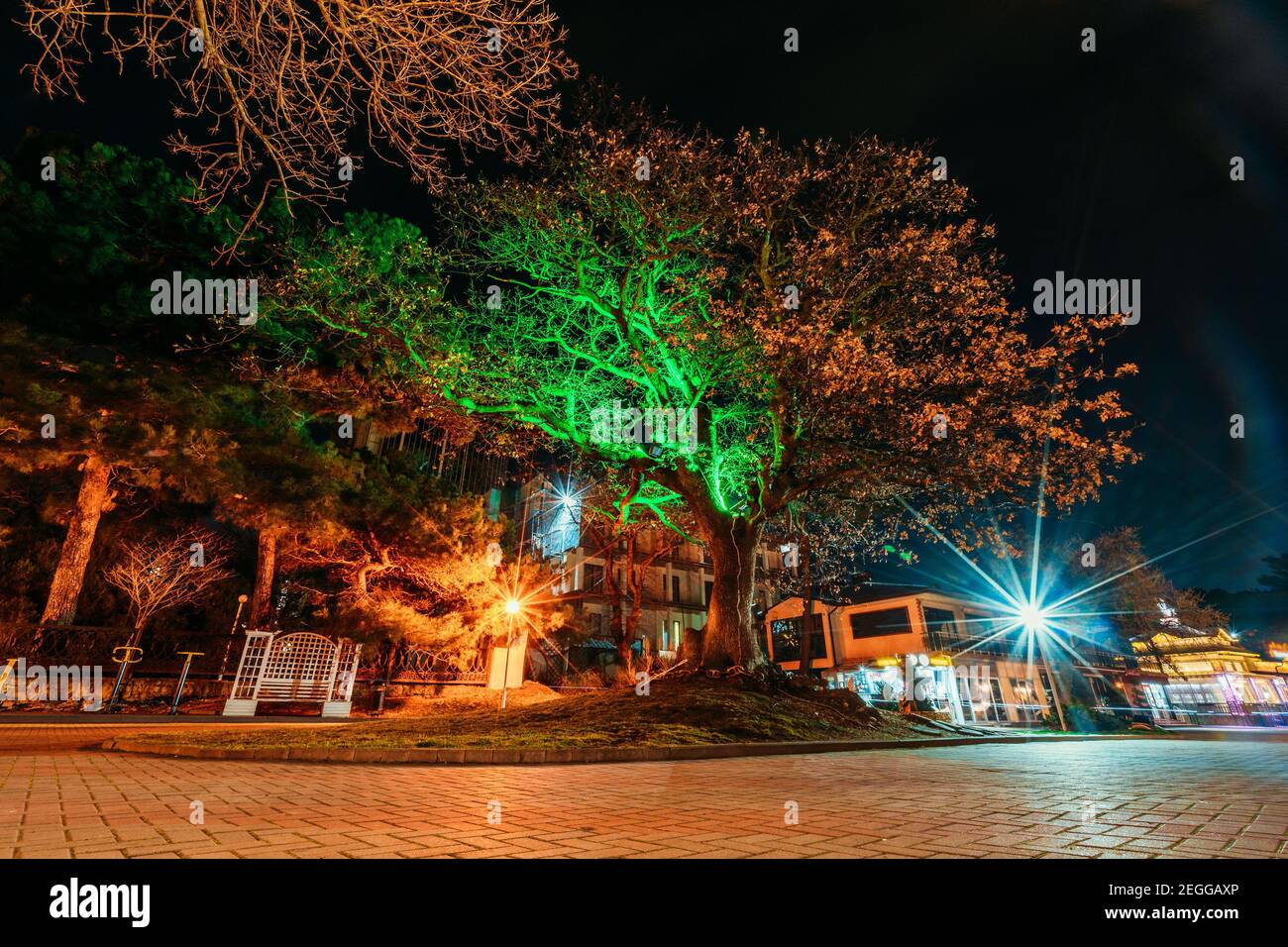 Beleuchtete Promenade oder Böschung der Stadt Gelendschik in der Winterzeit in der Nacht ohne Menschen. Stockfoto