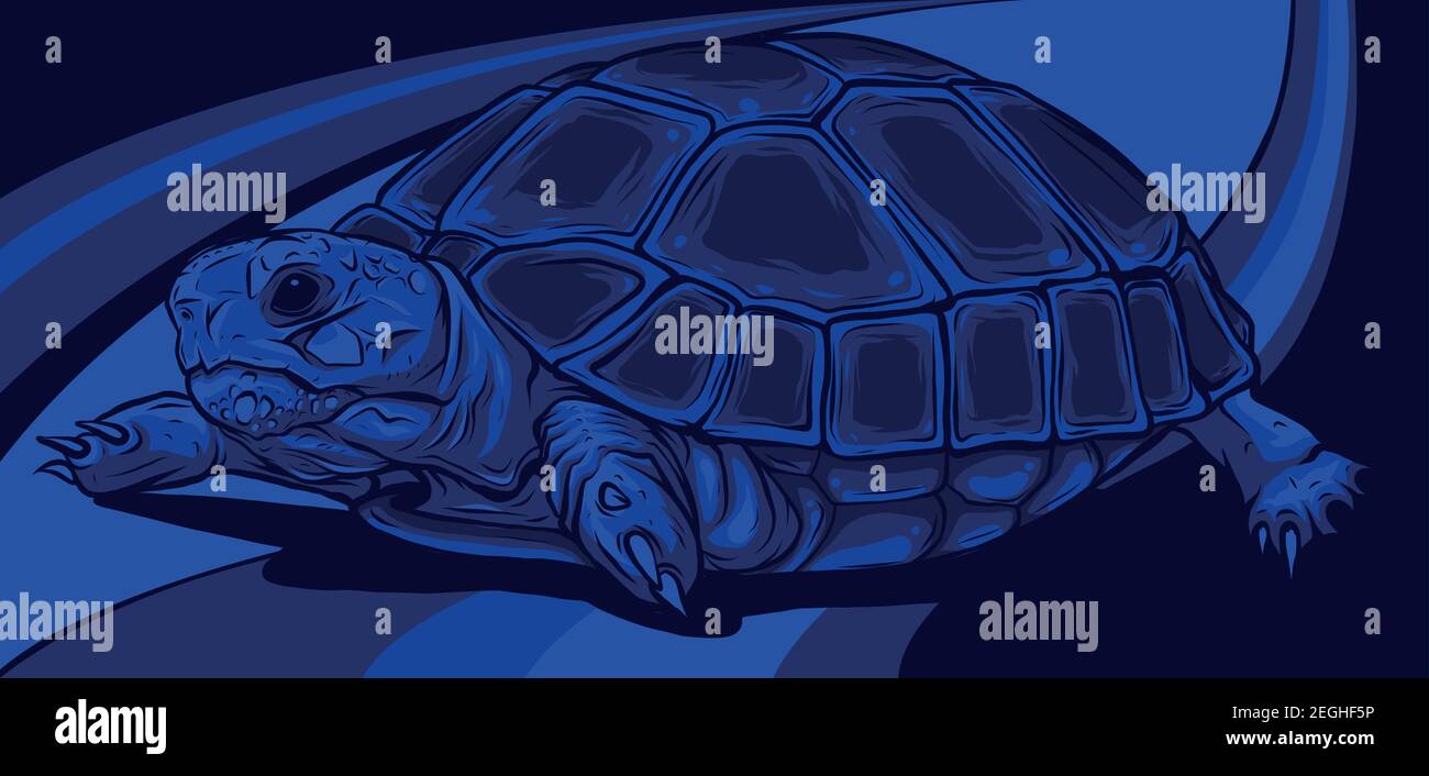 Cartoon-Vektor auf farbigen Hintergrund Schildkröte. vektor Stock Vektor