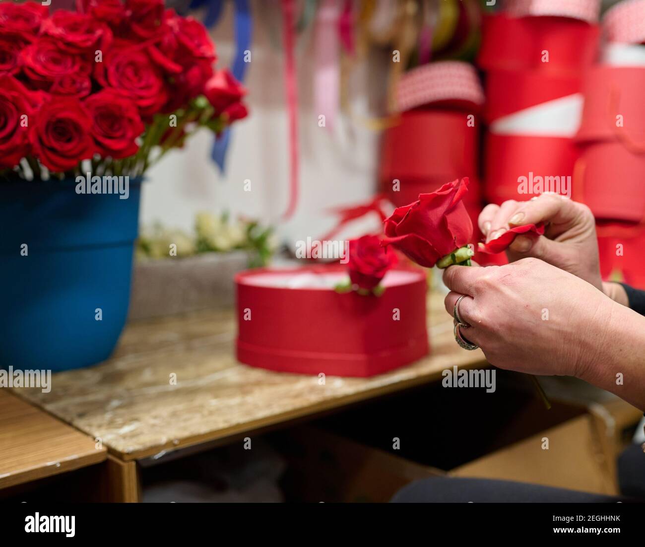 Blumenhändler, der Blumenbox mit roten Rosen auf dem Tisch macht, rote Rosen im Tank auf dem Hintergrund Stockfoto