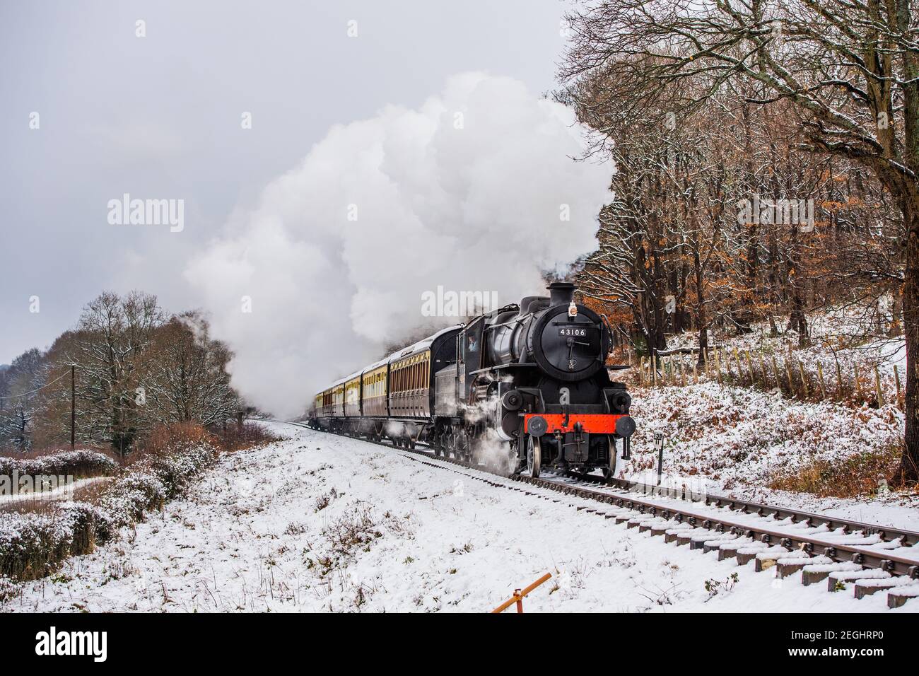 BR Ivatt 4 No. 43106 arbeitet hart durch den Schnee bei Orchard Crossing auf dem Anflug nach Bewdley mit der Severn Valley Railway Stockfoto