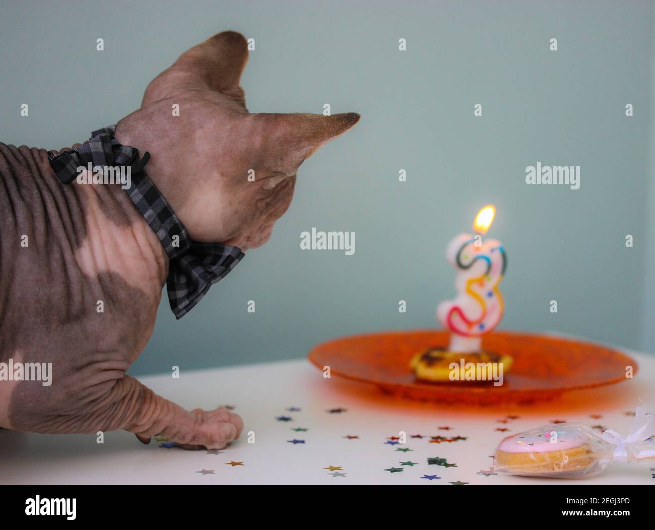 dritter geburtstag stockfotos und bilder kaufen alamy