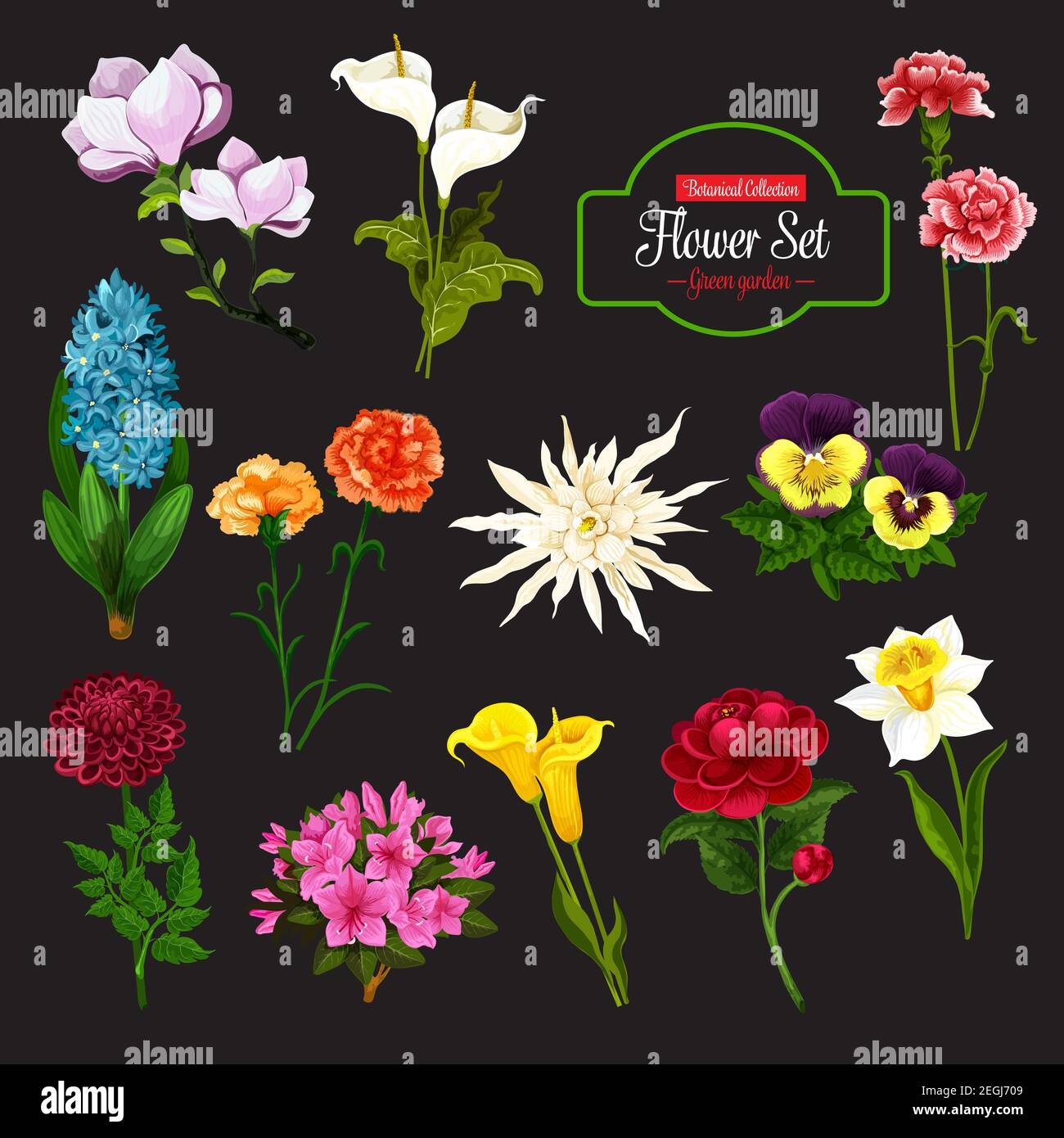 Blumenikone der frühlingsblühenden Pflanze. Daffodil, Calla Lilie und Pfingstrose, Hyazinthe, Stiefmütterchen und Phlox, Dahlie, Aster und Magnolie Zweig mit grünem Blatt fo Stock Vektor