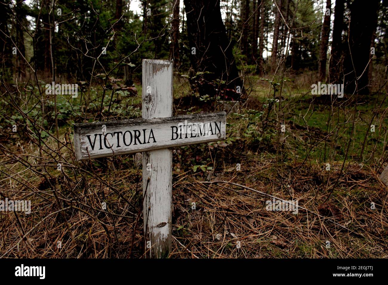 Haunting Cemetery Stockfoto