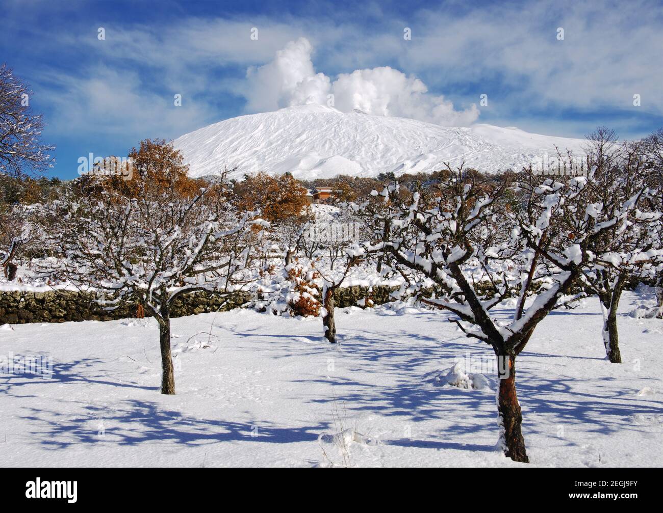 Ätna Park und verschneiten Obstgarten, Sizilien Stockfoto