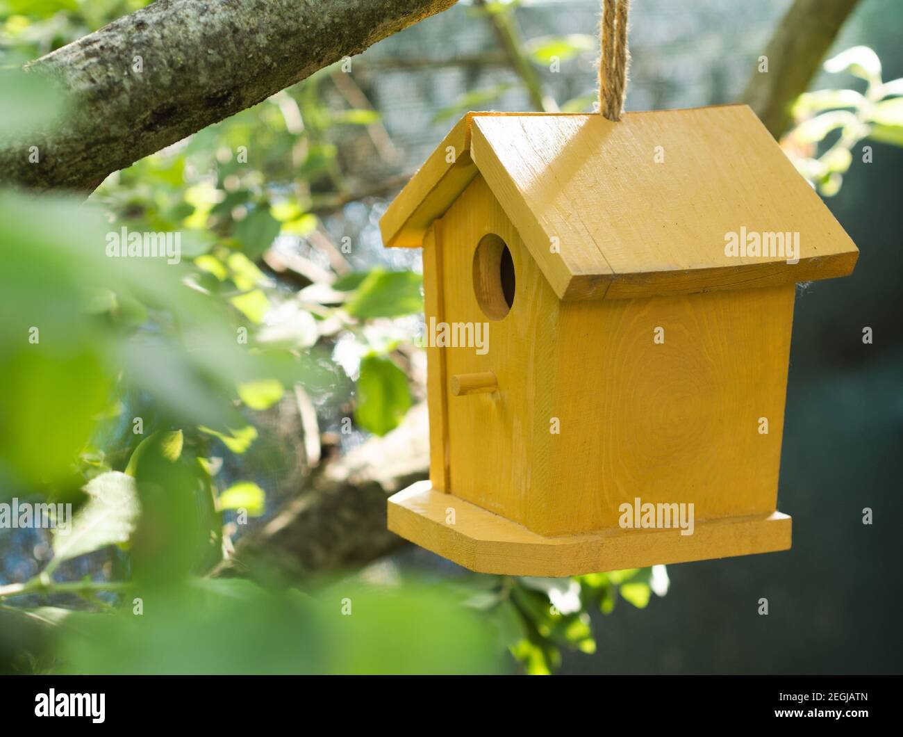 Gelbes Vogelhaus, hängend auf Baumzweig Stockfoto