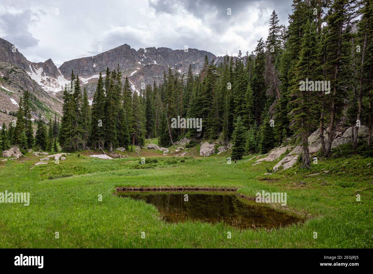 Kleiner Teich in der Eagles Nest Wildnis, Colorado Stockfoto