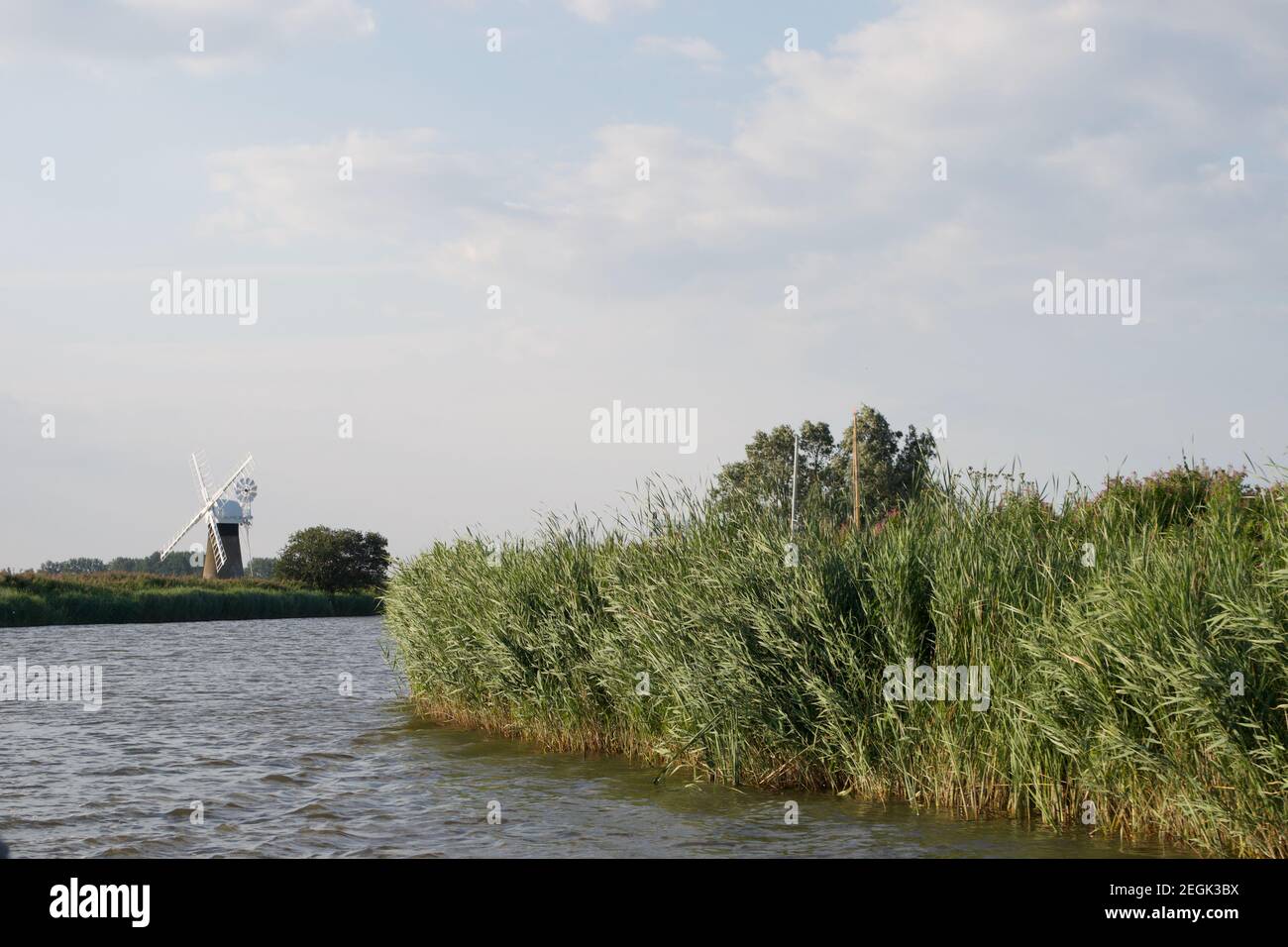 Eine Kurve in einem Fluss an einem windigen Tag: Grüne Rinnen, die in der Brise weht, und eine weiße Windmühle (oder Windpumpe) am Flussufer in der Ferne. Norfolk Stockfoto