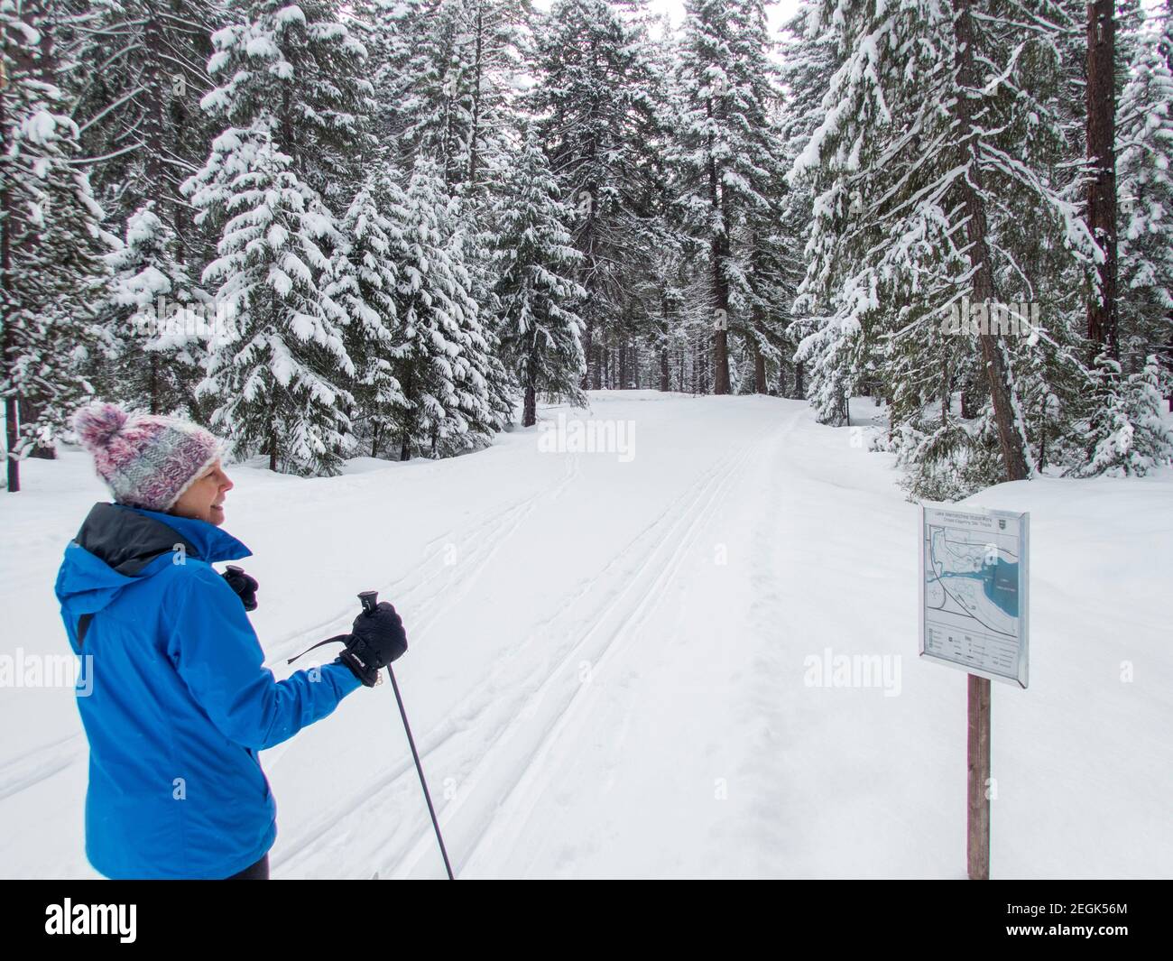Eine Winterszene mit einem Langlaufläufer (Model veröffentlicht), der eine Wanderkarte am Lake Wenatchee State Park im Osten von Washington State, USA, betrachtet. Stockfoto