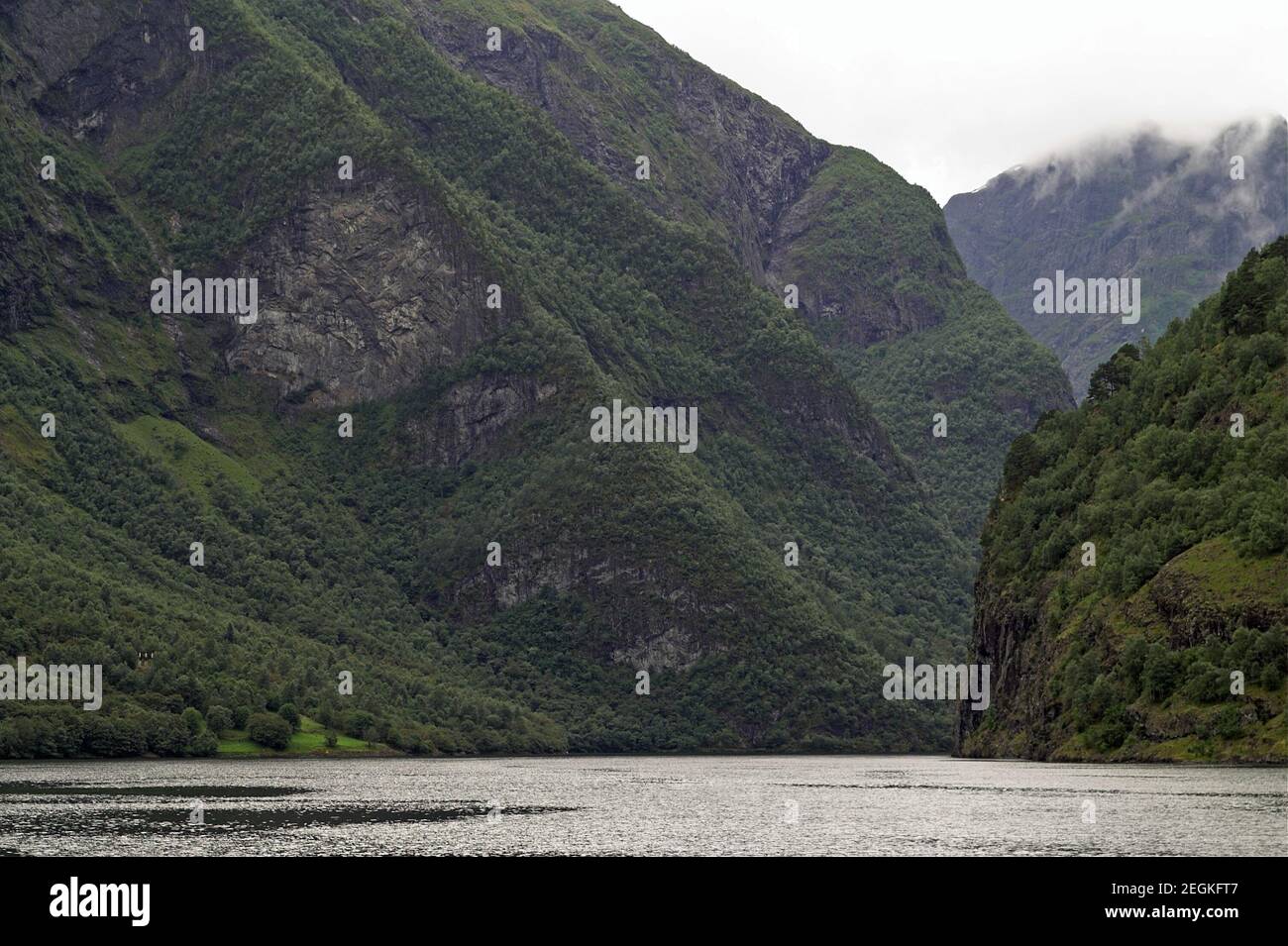 Nærøyfjorden, Norwegen, Norwegen; EINE typisch norwegische Fjordlandschaft. Typisch norwegische Fjordlandschaft. Grüne Steilhänge, die zum Fjord hinunter führen Stockfoto