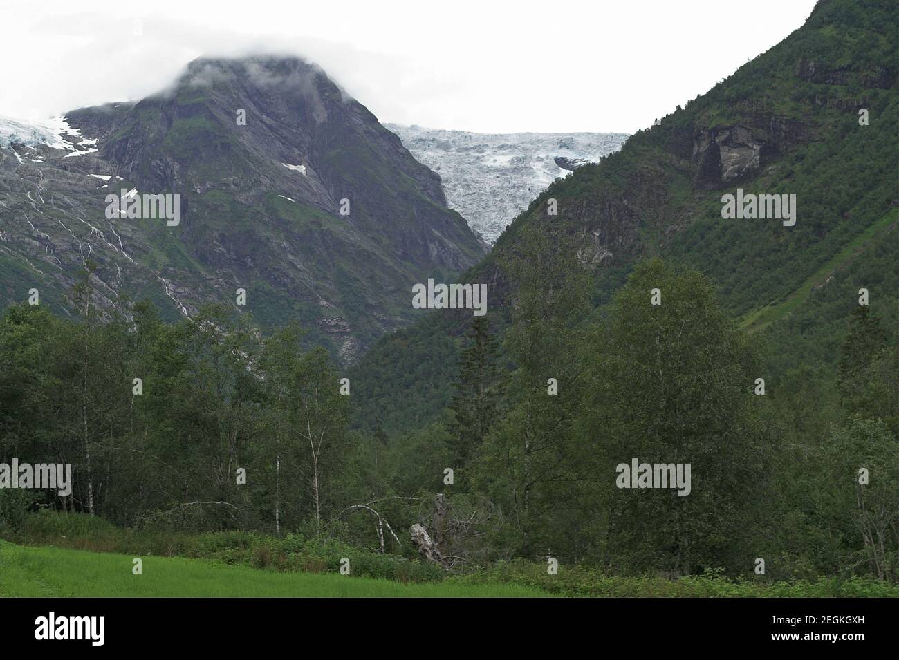 Jostedalsbreen-Nationalpark; Bøyabreen-Gletscher; Norwegen, Norwegen; Norwegischer Gletscher; Norwegischer Gletscher; Glaciar noruego; norweski lodowiec Stockfoto