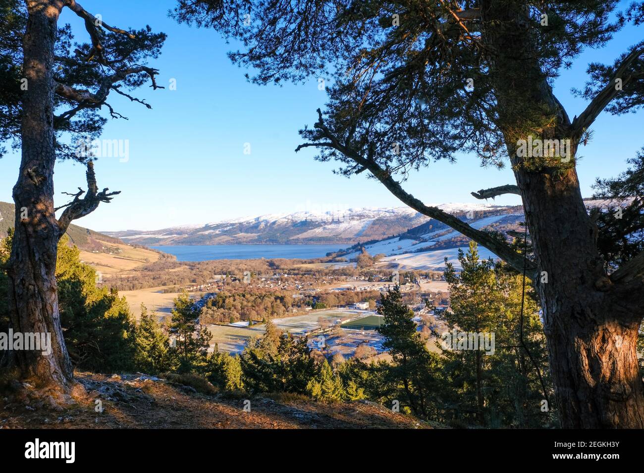 Ich habe es schließlich bis zum Aussichtspunkt auf Craig Mony geschafft, der Stelle einer alten Hügelfestung mit Blick auf Drumnadrochit und Lochness darüber hinaus. Stockfoto