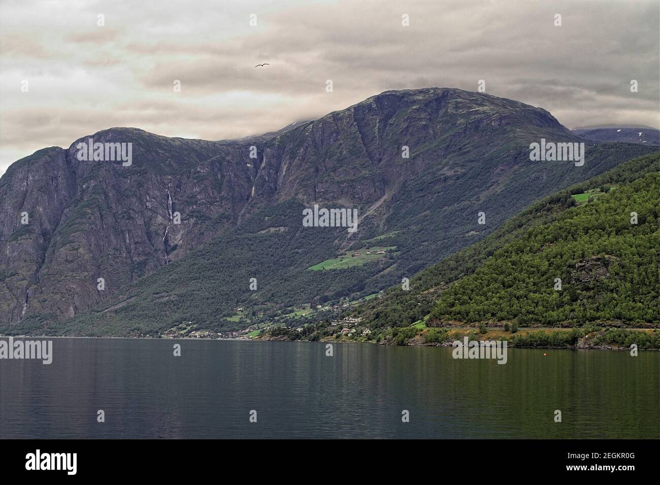 Nærøyfjorden, Norwegen, Norwegen; EINE typisch norwegische Fjordlandschaft. Typisch norwegische Fjordlandschaft. Grüne Steilhänge, die zum Fjord hinunter führen Stockfoto