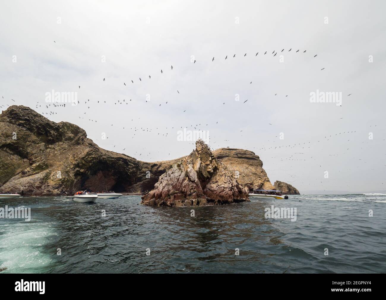 Touristenboote auf Ballestas Inseln beobachten die Tiere, Seelöwen und Vögel in ihrem Lebensraum Stockfoto