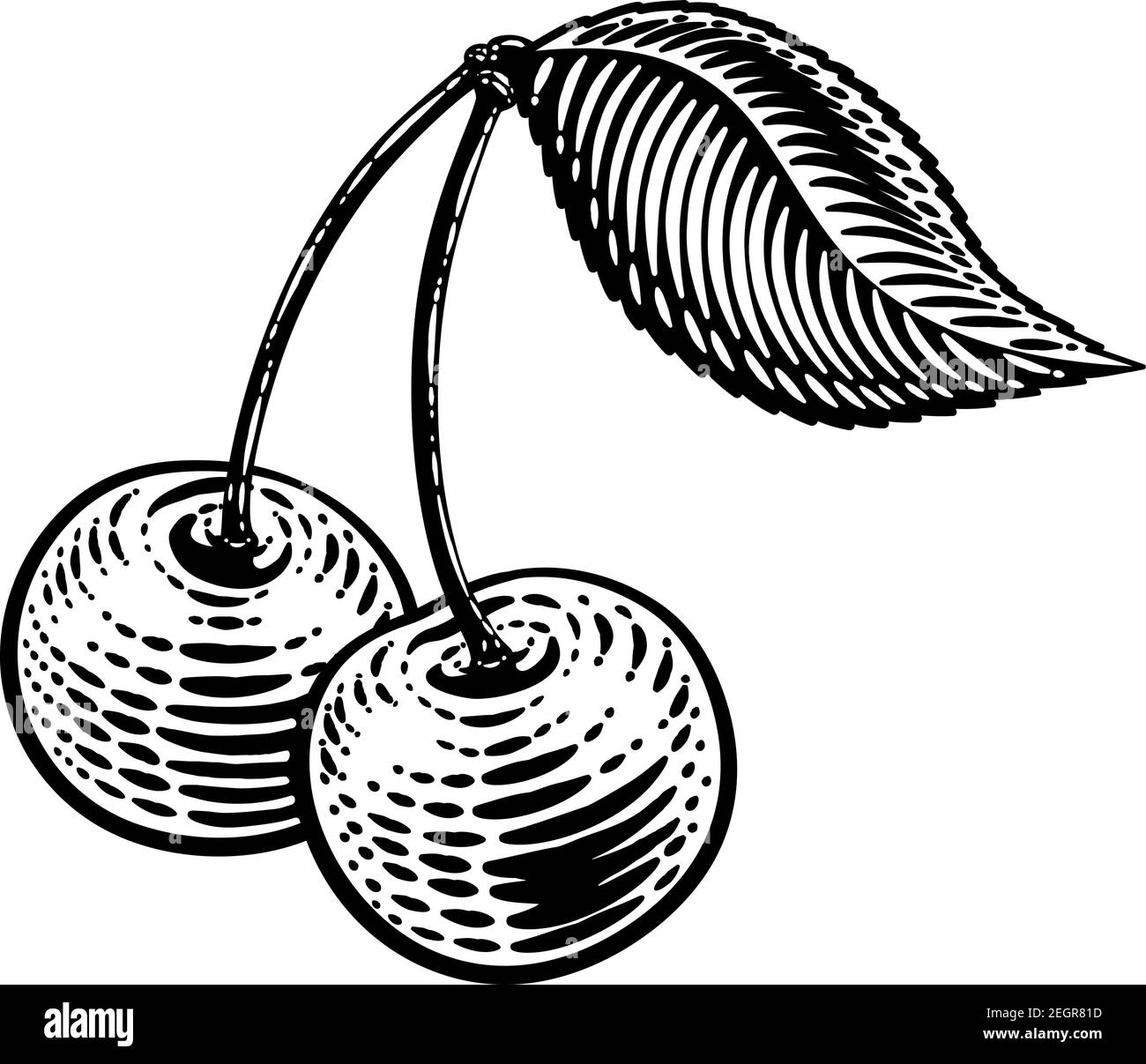 Kirsche Beerenfrucht Vintage Holzschnitt Illustration Stock Vektor
