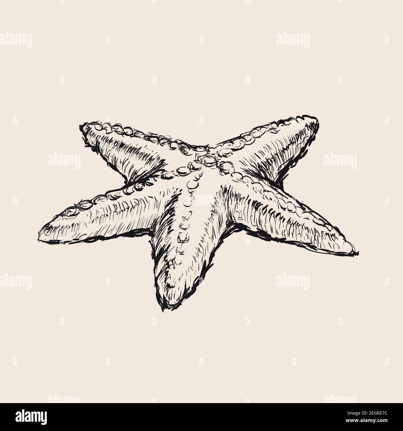 Seesterne Hand Zeichnung Skizze Vektor Illustration. Stock Vektor