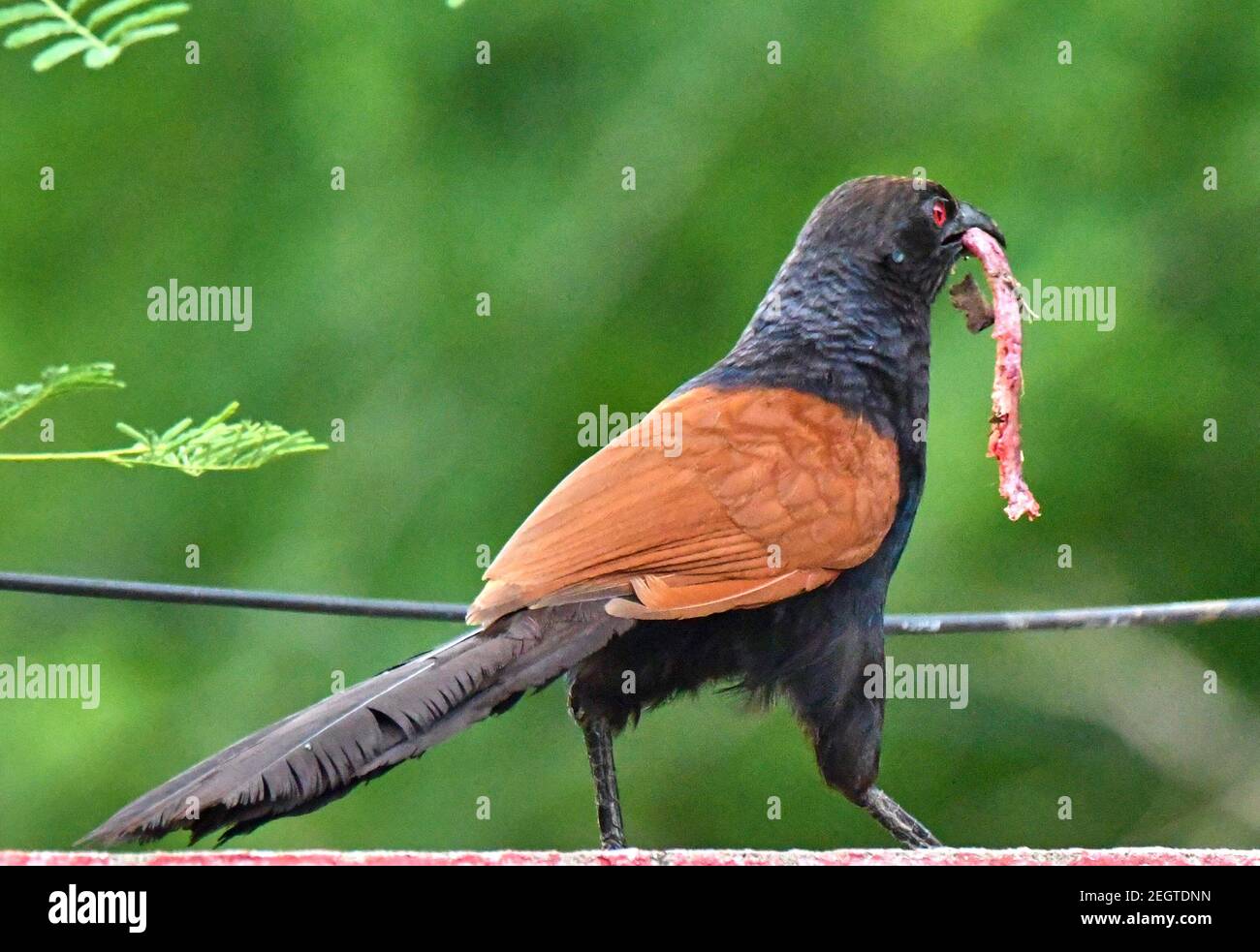 Mehr erholsam Stockfoto