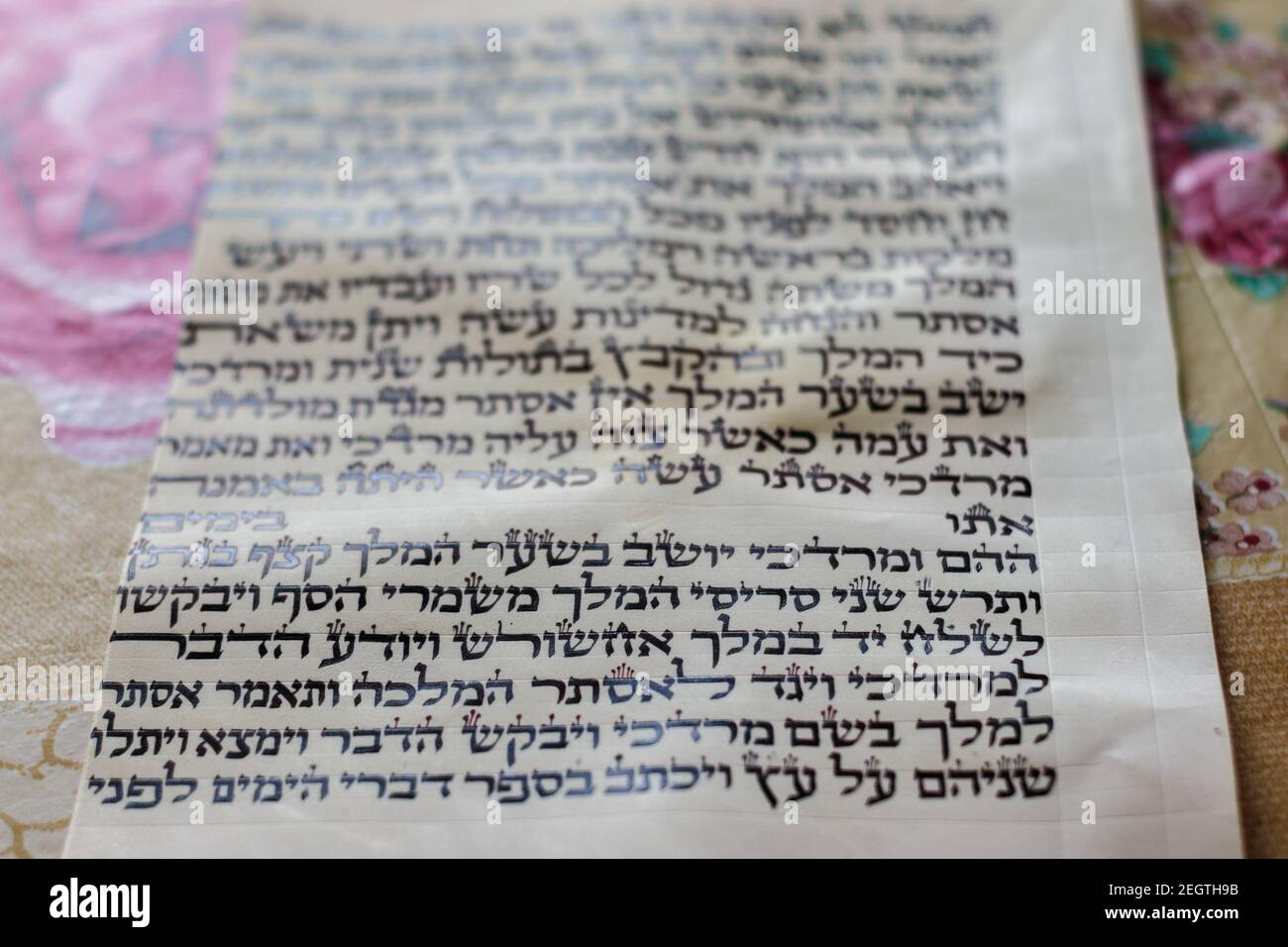 jerusalem-israel. 06-05-2020. Auszug aus dem Buch Esther aus der Bibel, geschrieben auf einem handgeschriebenen Rindsblatt in Hebräisch. Stockfoto
