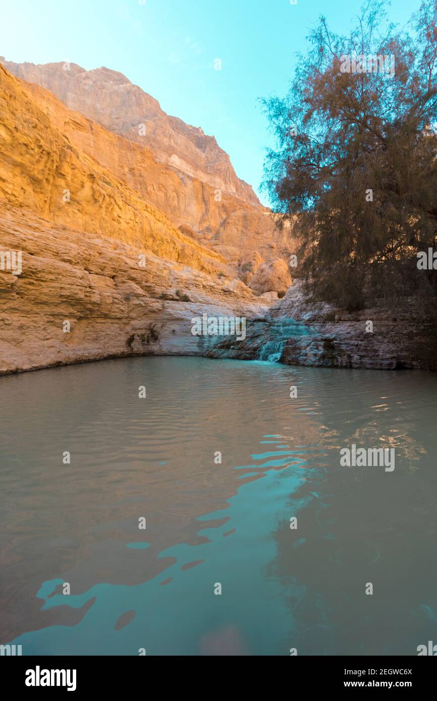 Großer Pool mit klarem Wasser und einem kleinen Wasserfall, in Nahal Arugot inmitten einer Wüstenlandschaft, ein Gedi Stockfoto