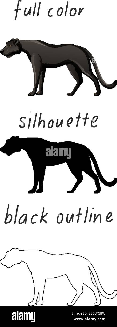 Set von schwarzen Panther in Farbe, Silhouette und schwarzen Umriss auf weißem Hintergrund Illustration Stock Vektor