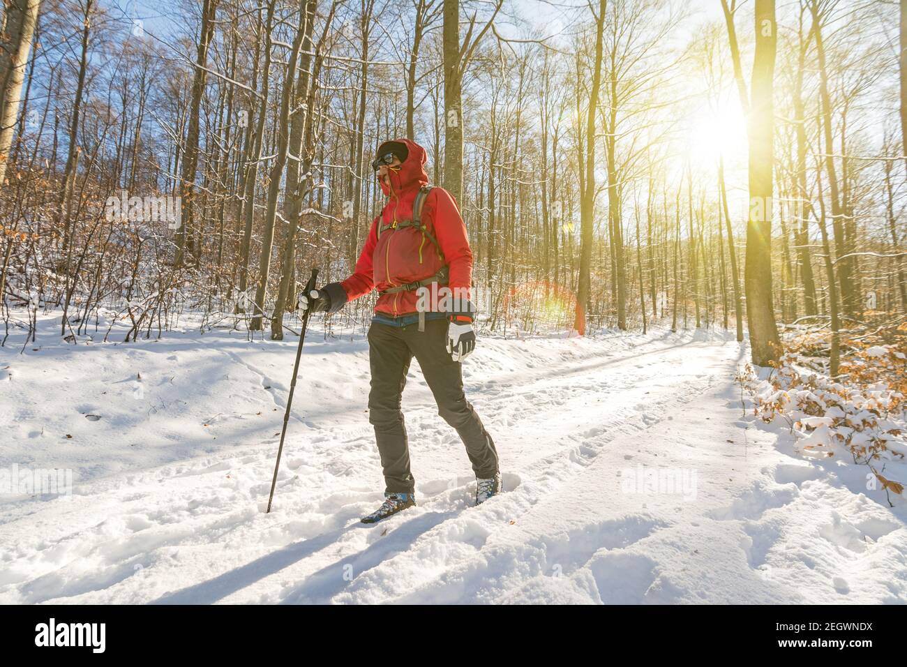 Mann in Outdoor-Ausrüstung Wandern durch verschneiten Wald in der Winter mit schönem Sonnenlicht Stockfoto