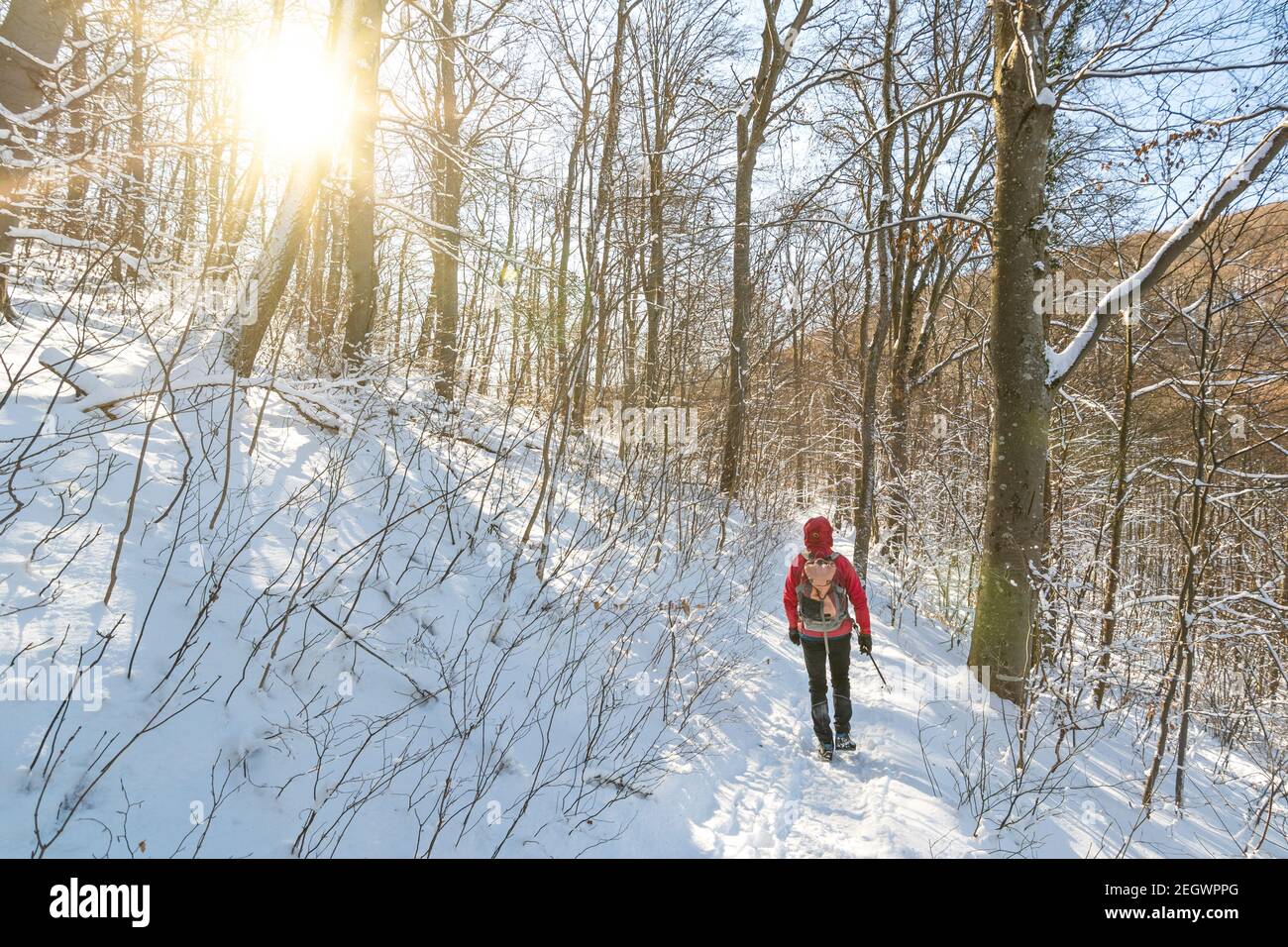 Mann in Outdoor-Ausrüstung mit Rucksack Wandern durch verschneiten Wald Im Winter Stockfoto