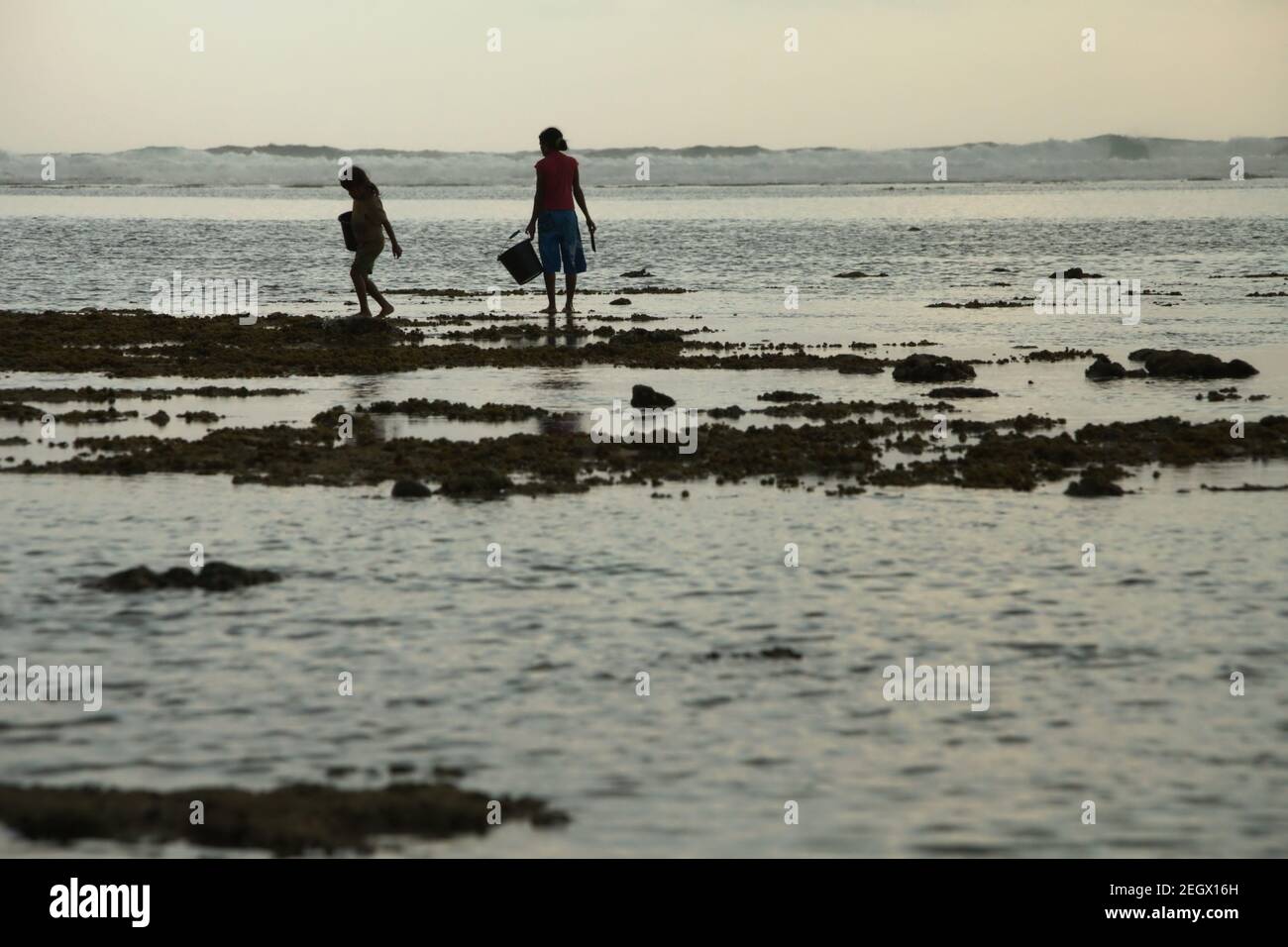 Eine junge Frau und ein Kind machten bei Ebbe einen Scherzschnitt, als sie am felsigen Strand spazieren gingen und Plastikeimer trugen, um Meerprodukte zu sammeln. Stockfoto