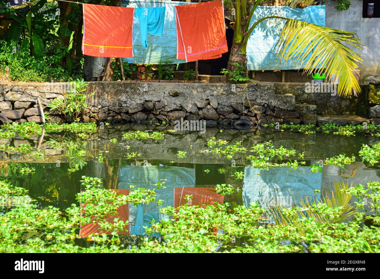 Washday, Kerala Backwaters, Kerala, Indien Stockfoto