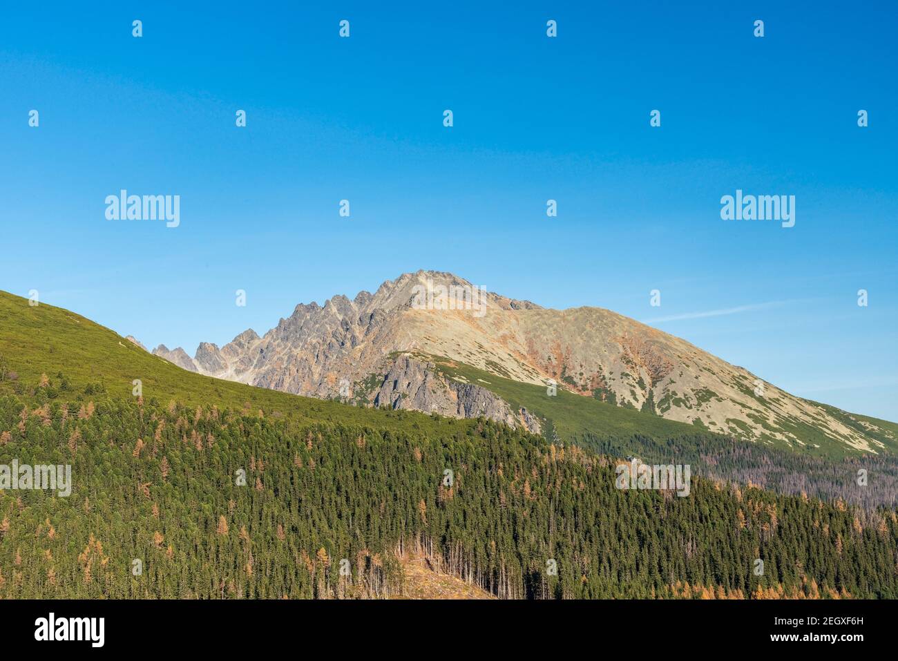 Herbst Vysoke Tatry Mountains - Teil des Hreben Bast Berg Grat über Mlynicka dolina Tal vom Wanderweg unten Chata Pod Soliskom in Slovaki Stockfoto