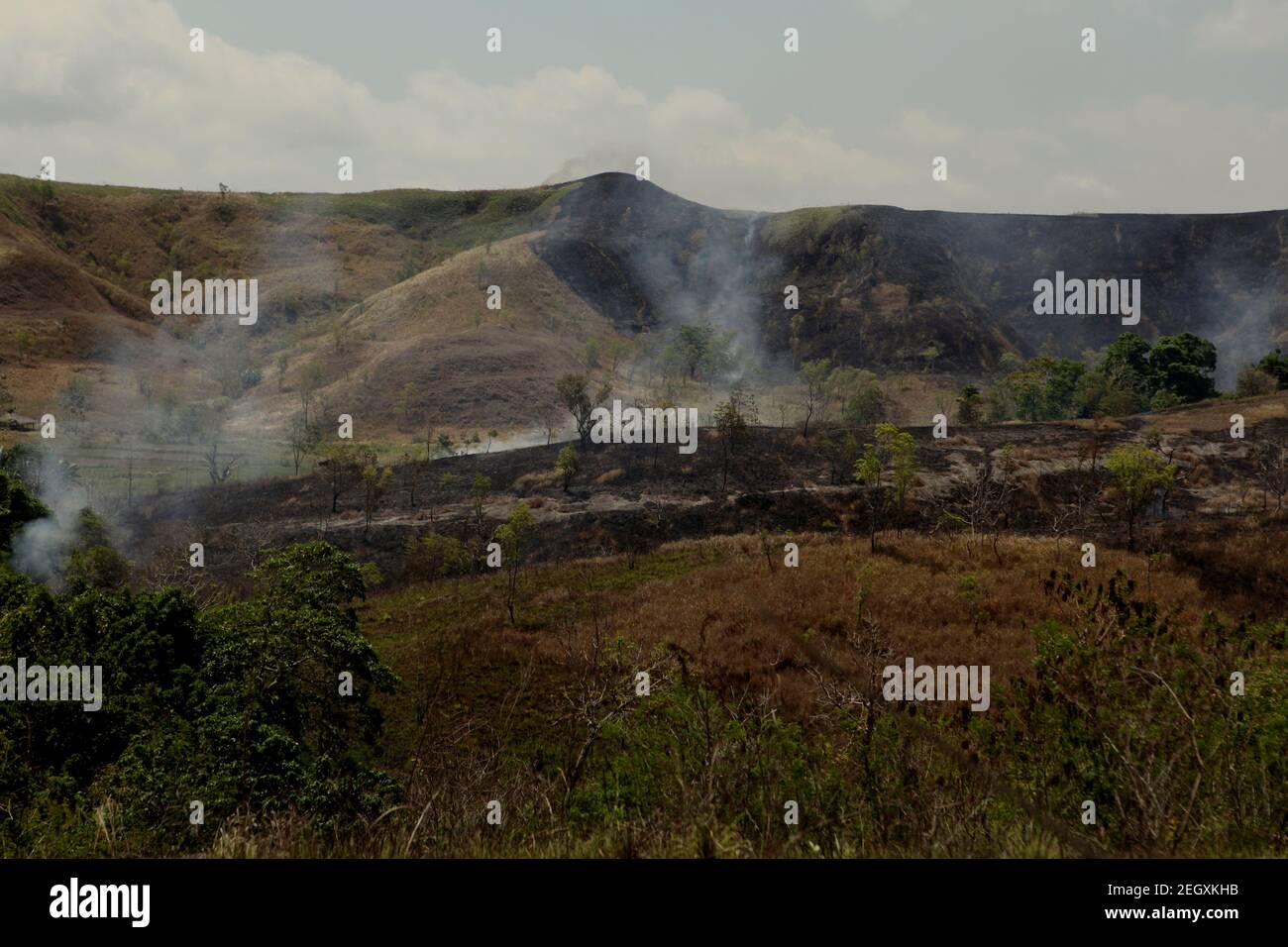 Feuer auf Sträuchern und Grünland während der Trockenzeit auf Sumba Island, einer Insel im Osten Indonesiens, auf der regelmäßig Trockenheit herrscht. Stockfoto