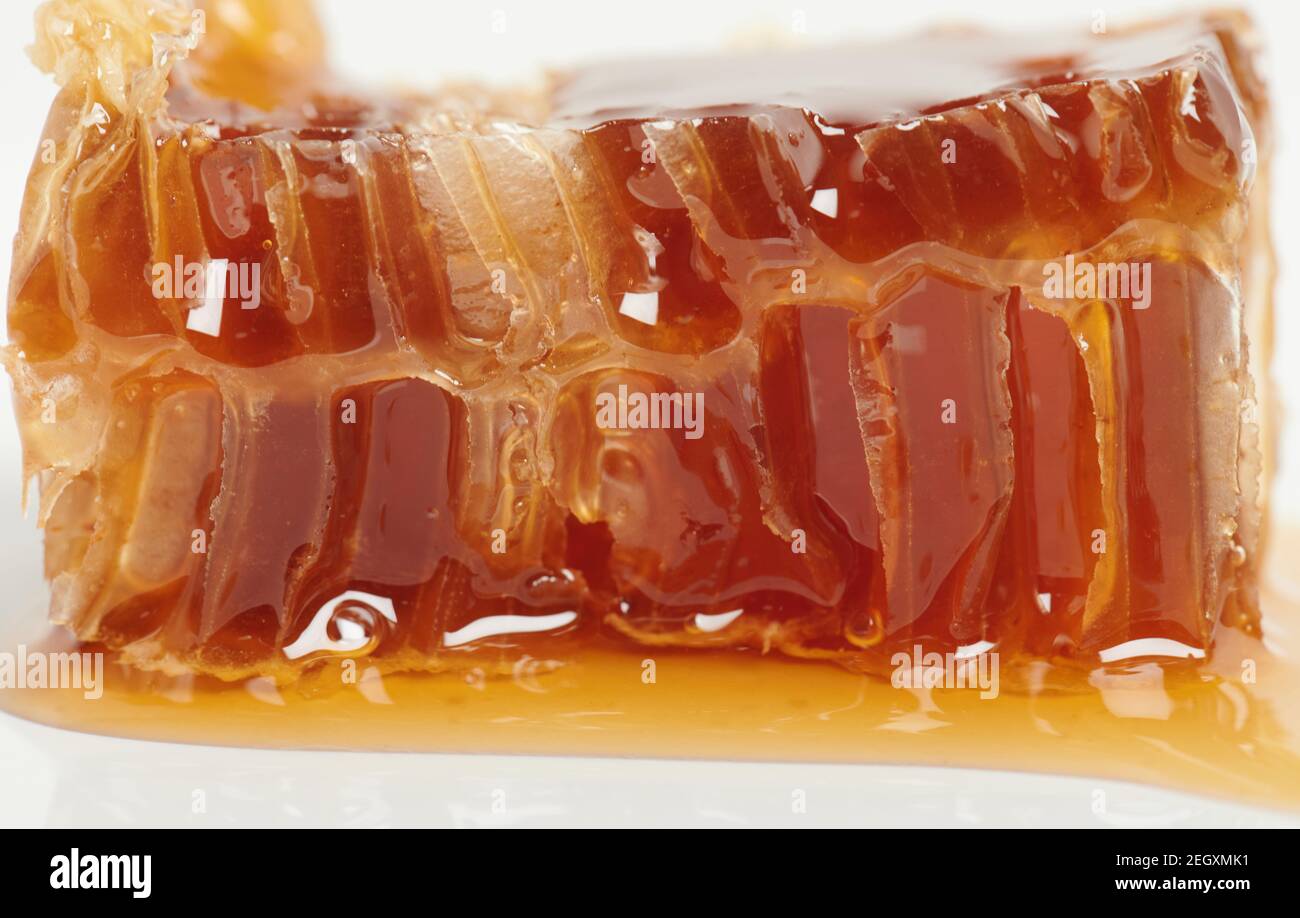 Stück Gold Farbe Honig in der Zelle der Bienenwabe Nahaufnahme Stockfoto