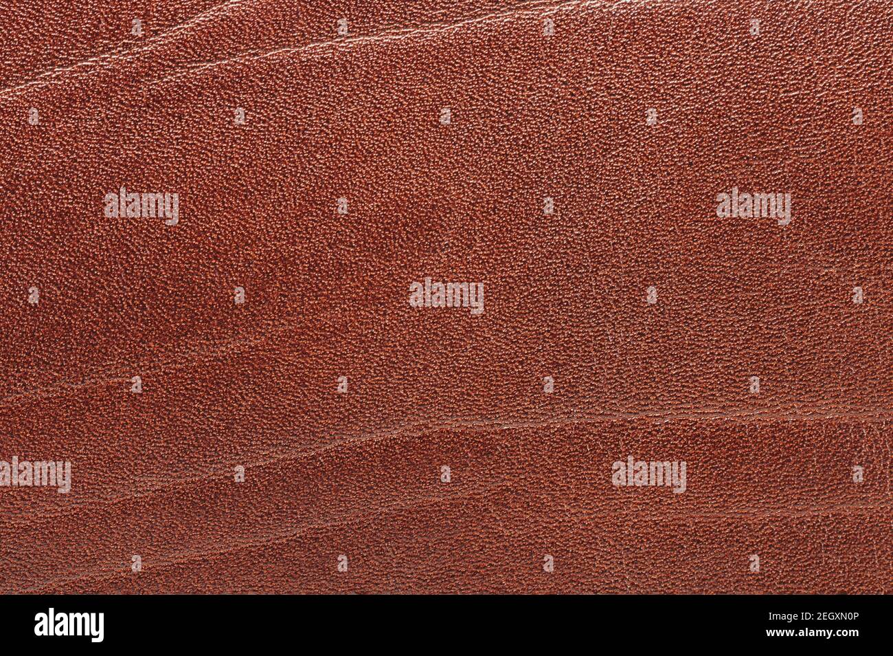 Braune Hautstruktur mit Falzmarken Makro-Ansicht nach oben Stockfoto