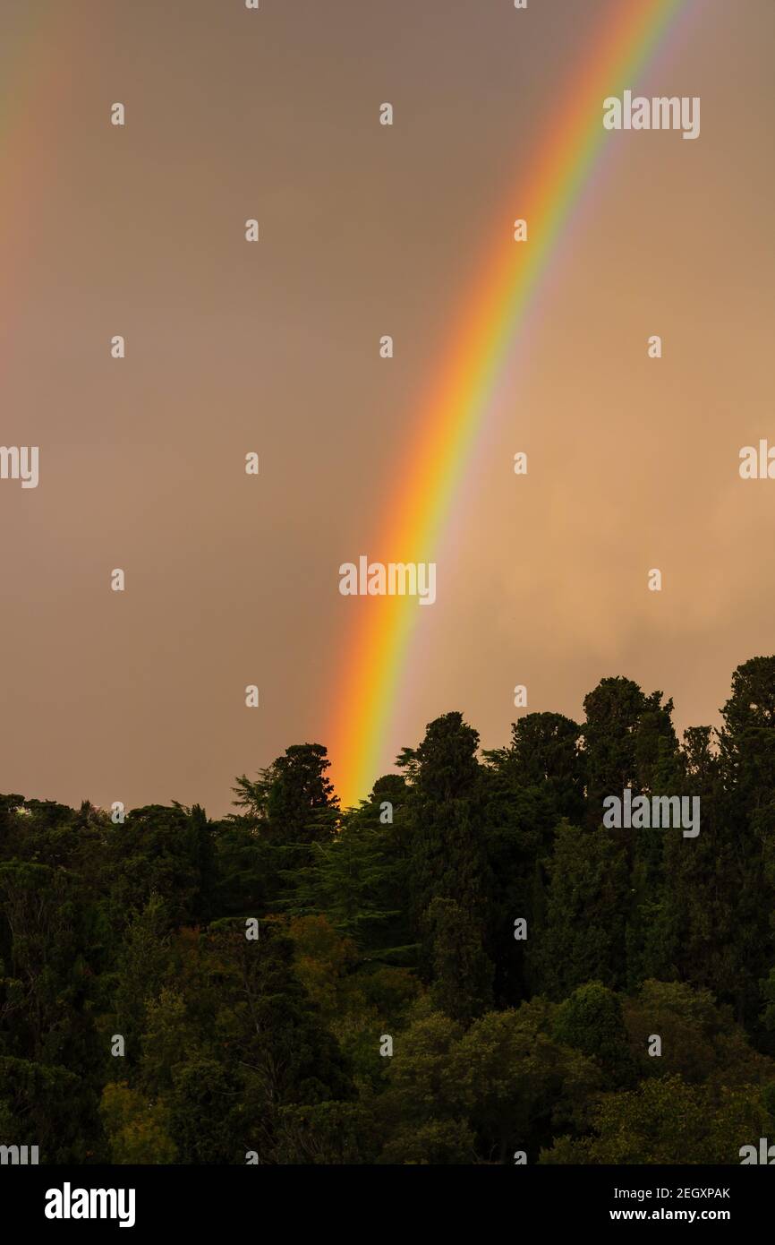 Regenbogen bei Sonnenuntergang und Wald. Schöne Regenbogen Geschichte Hintergrund Foto. Orange Wolken bei Sonnenuntergang und Regenbogen. Landschaft des wolkigen Himmels. Stockfoto