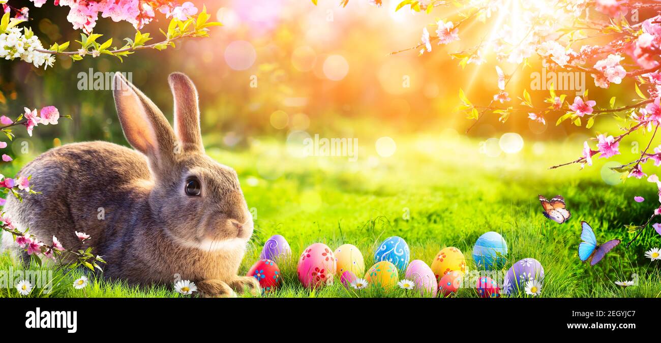 Ostern - Süßer Hase Im Sonnigen Garten Mit Verzierten Eiern Stockfoto