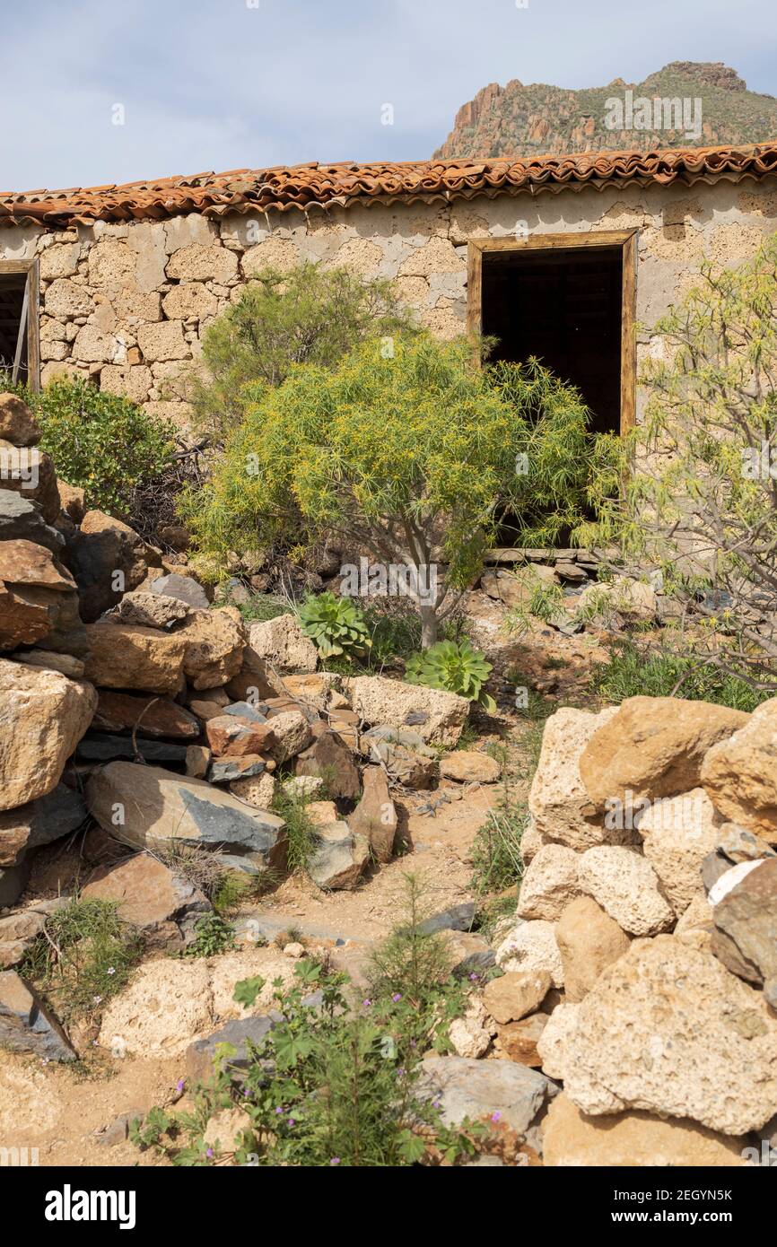 Verlassene Steinhaus in einer abgelegenen Gegend von San Miguel, Teneriffa, Kanarische Inseln, Spanien Stockfoto