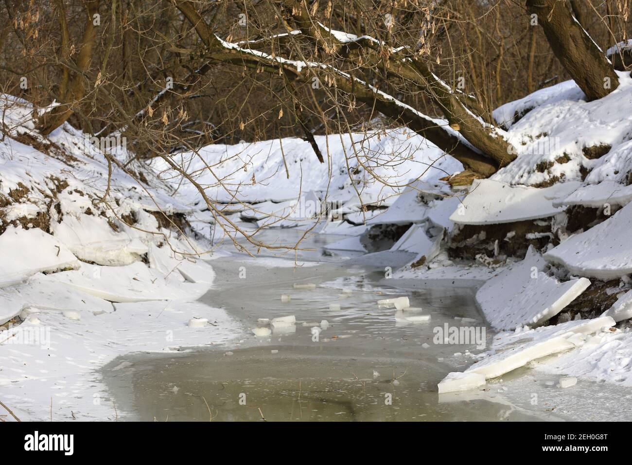 Ein Bach im Winterwald, Schnee und Eis Stockfoto
